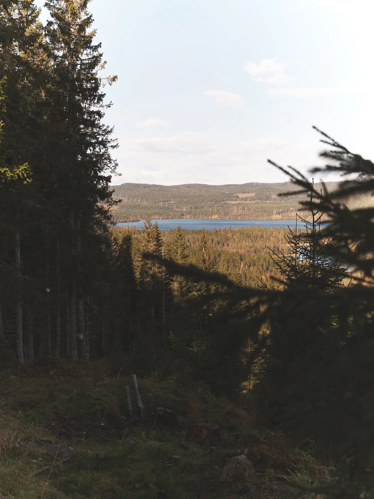 stine_p_joergensen 2.jpg