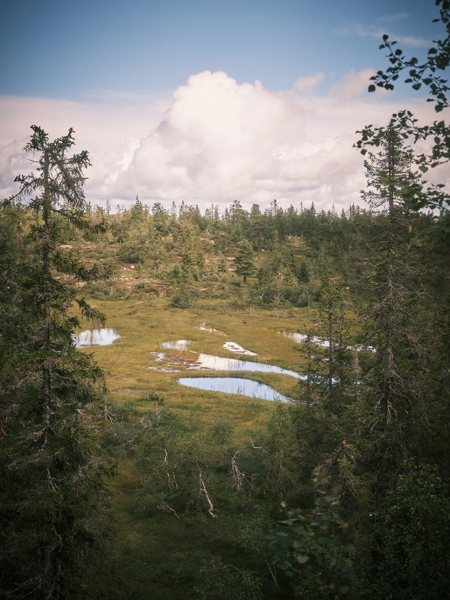 stine_p_joergensen 14.jpg