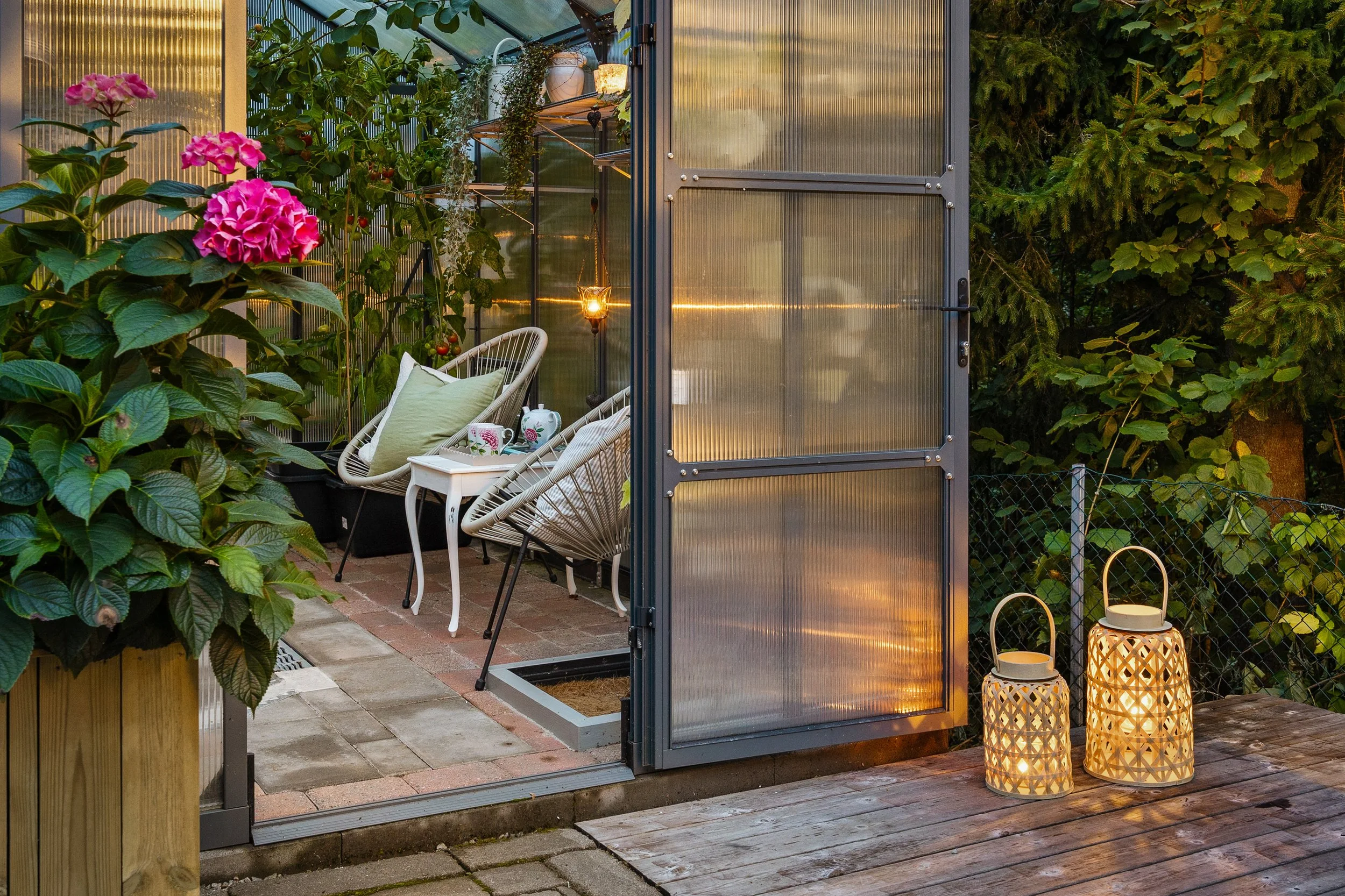 Kveldsstemning av drivhus med to lykter med lys, en liten hvit bord med to tekopper, to hvite kurvstoler med puter, og en blomstrende plante i et stort blomsterpotte. Trær og skog i bakgrunnen.