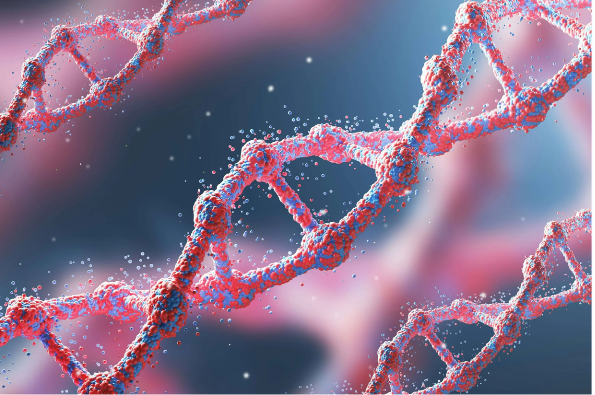 How Your Genes Help Us Personalise Your Diet