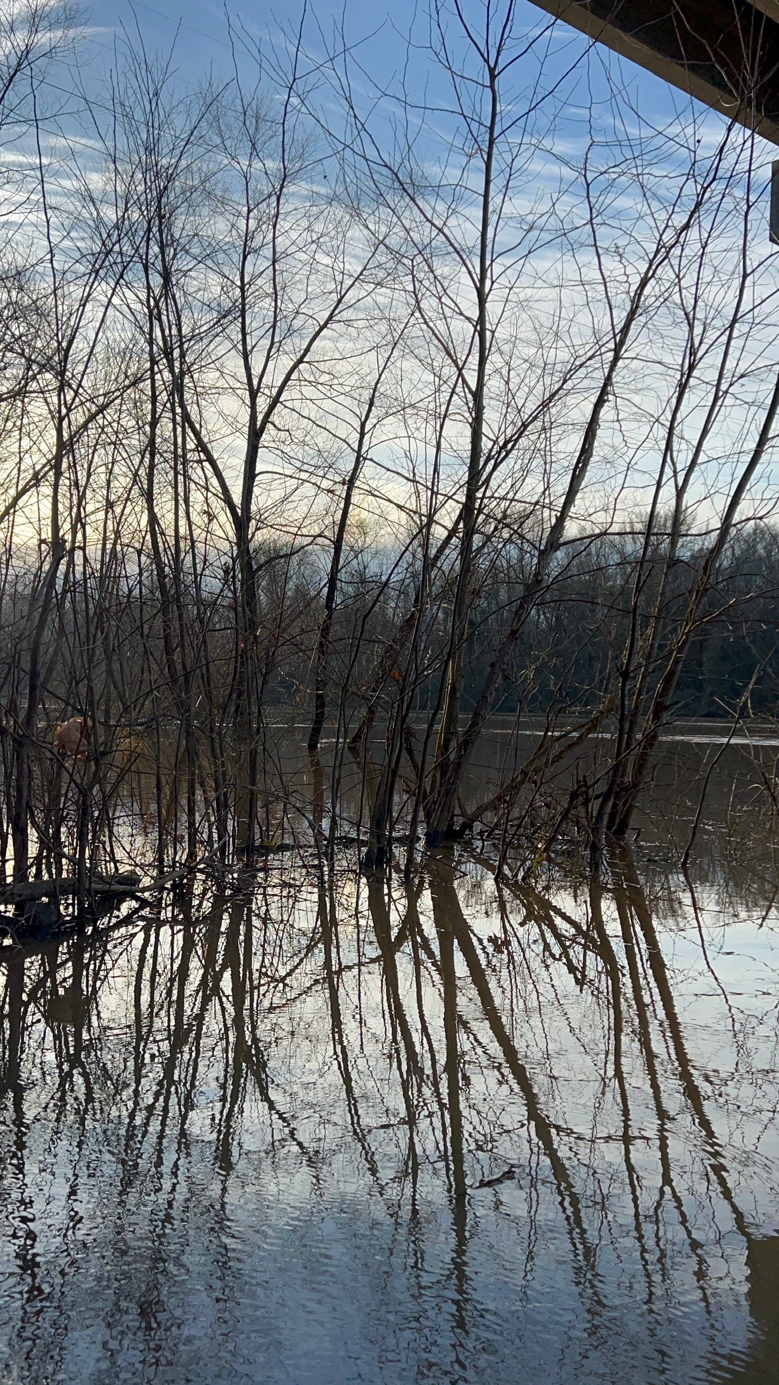 IMG_3756.jpeg