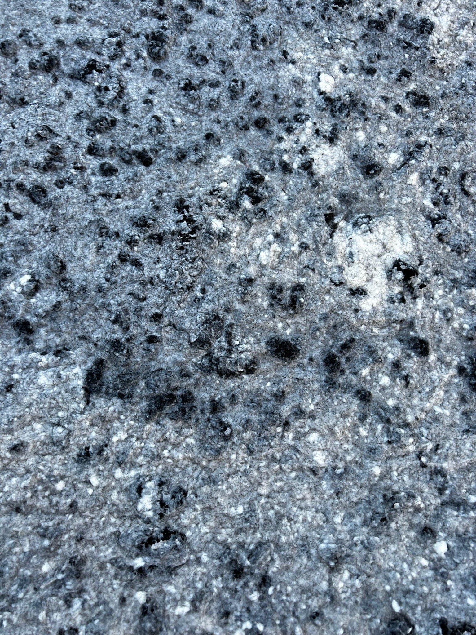 IMG_3868.jpeg