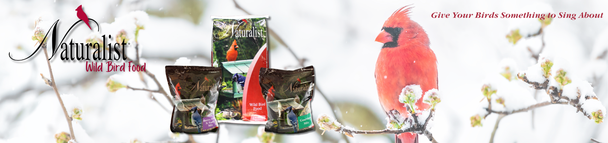 This is one of the three ads that I designed for the Naturalist brand that will be featured in the 2026 CISCO Calendar.