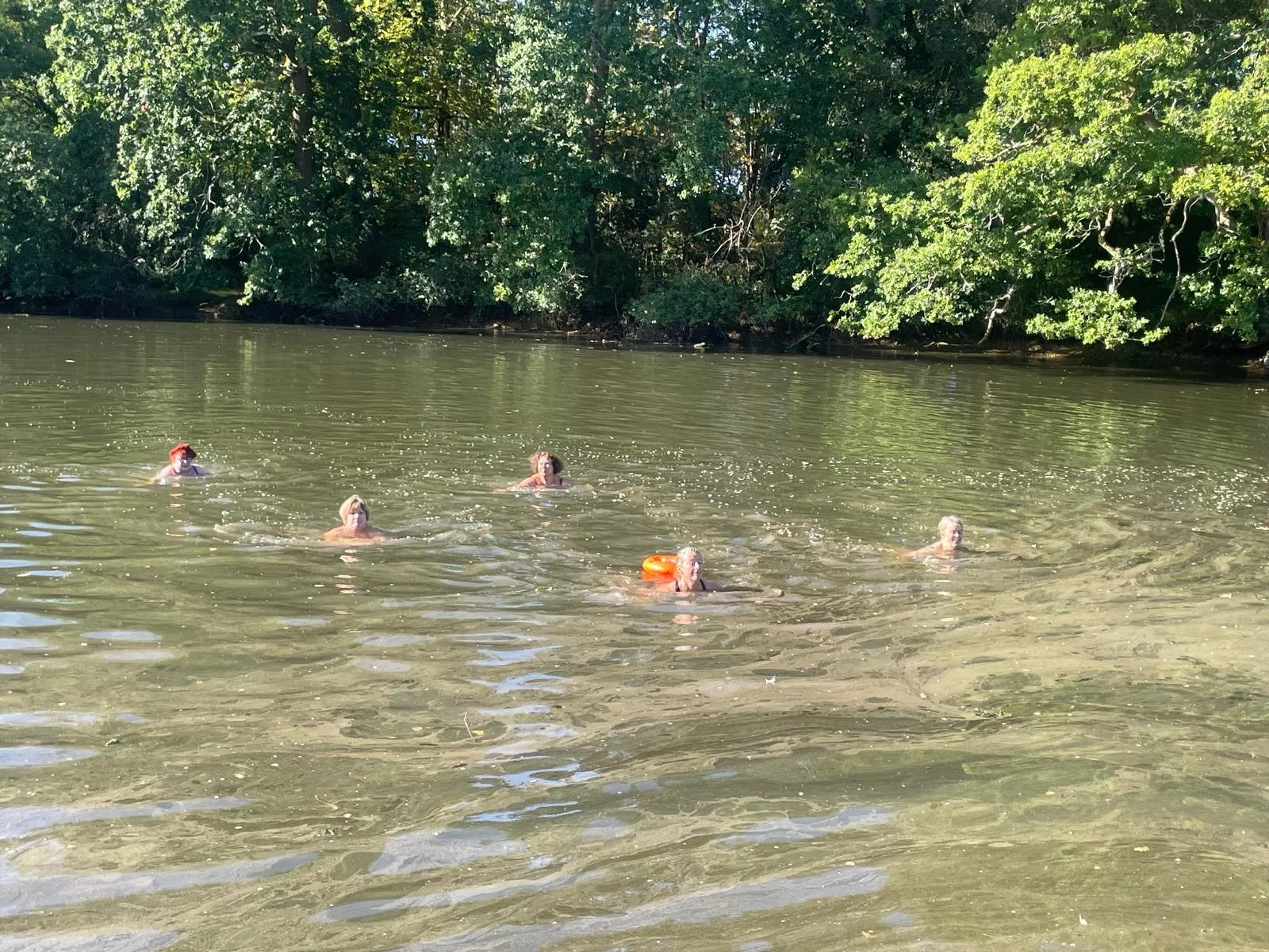 People swimming in a calm river surrounded by green trees.