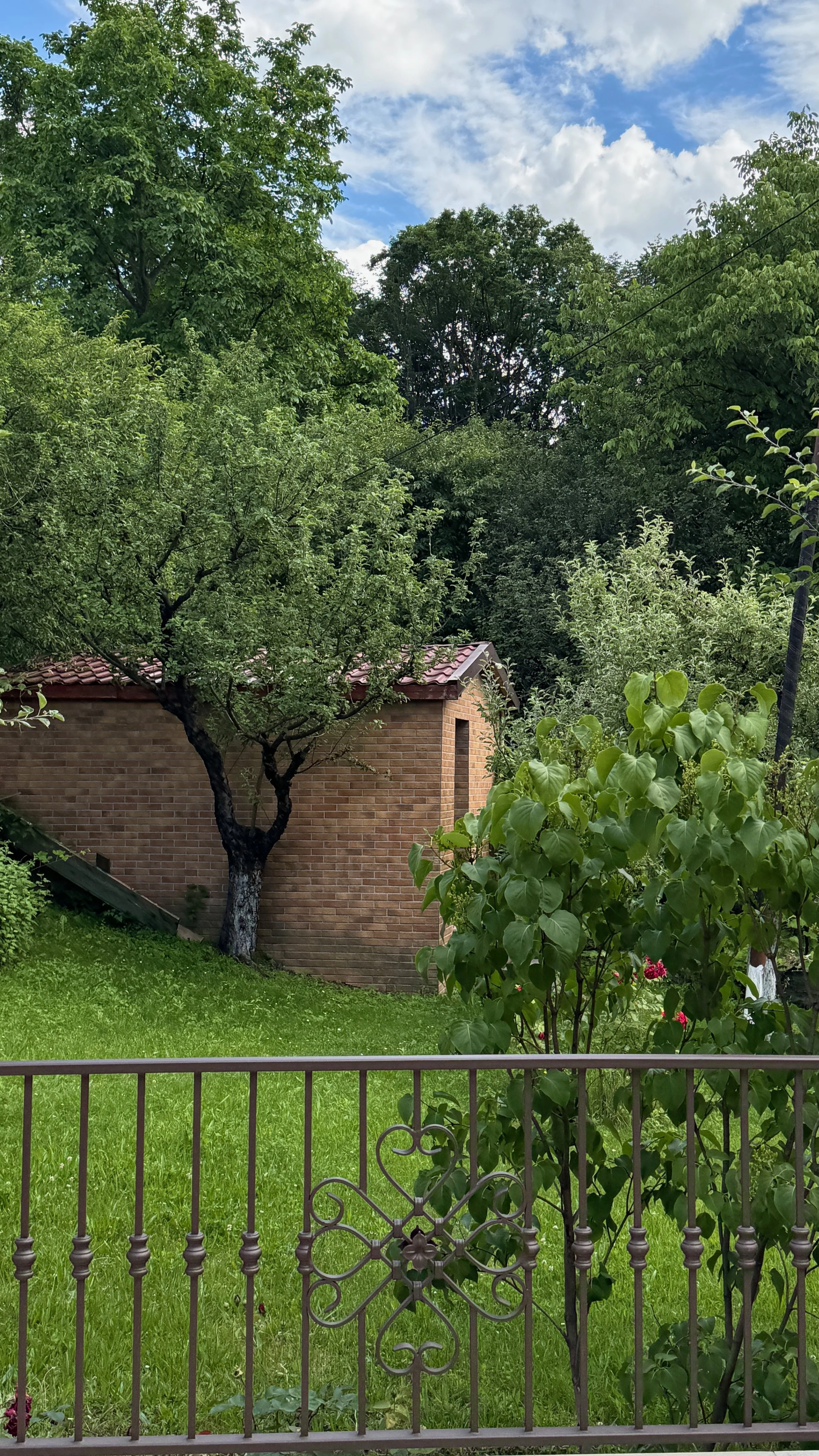 A backyard with green grass, a decorative metal fence with a heart-shaped design, trees, a brick building with a red tiled roof, and a partly cloudy sky.