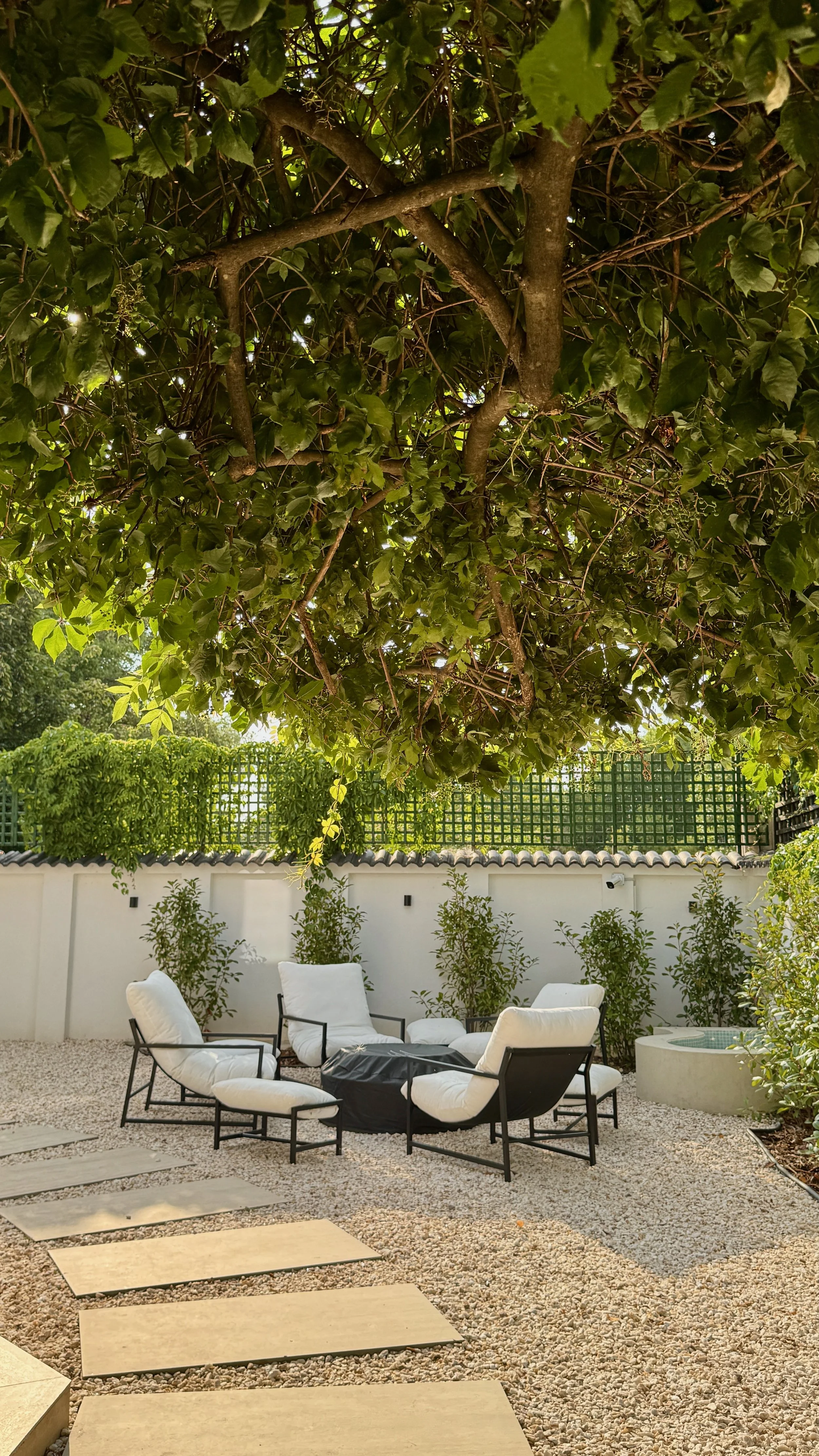 Outdoor seating area with four white cushioned chairs and a small round table, surrounded by small plants and a gravel ground, with a large tree overhead providing shade, a white wall with a lattice and greenery behind, and stepping stones leading th