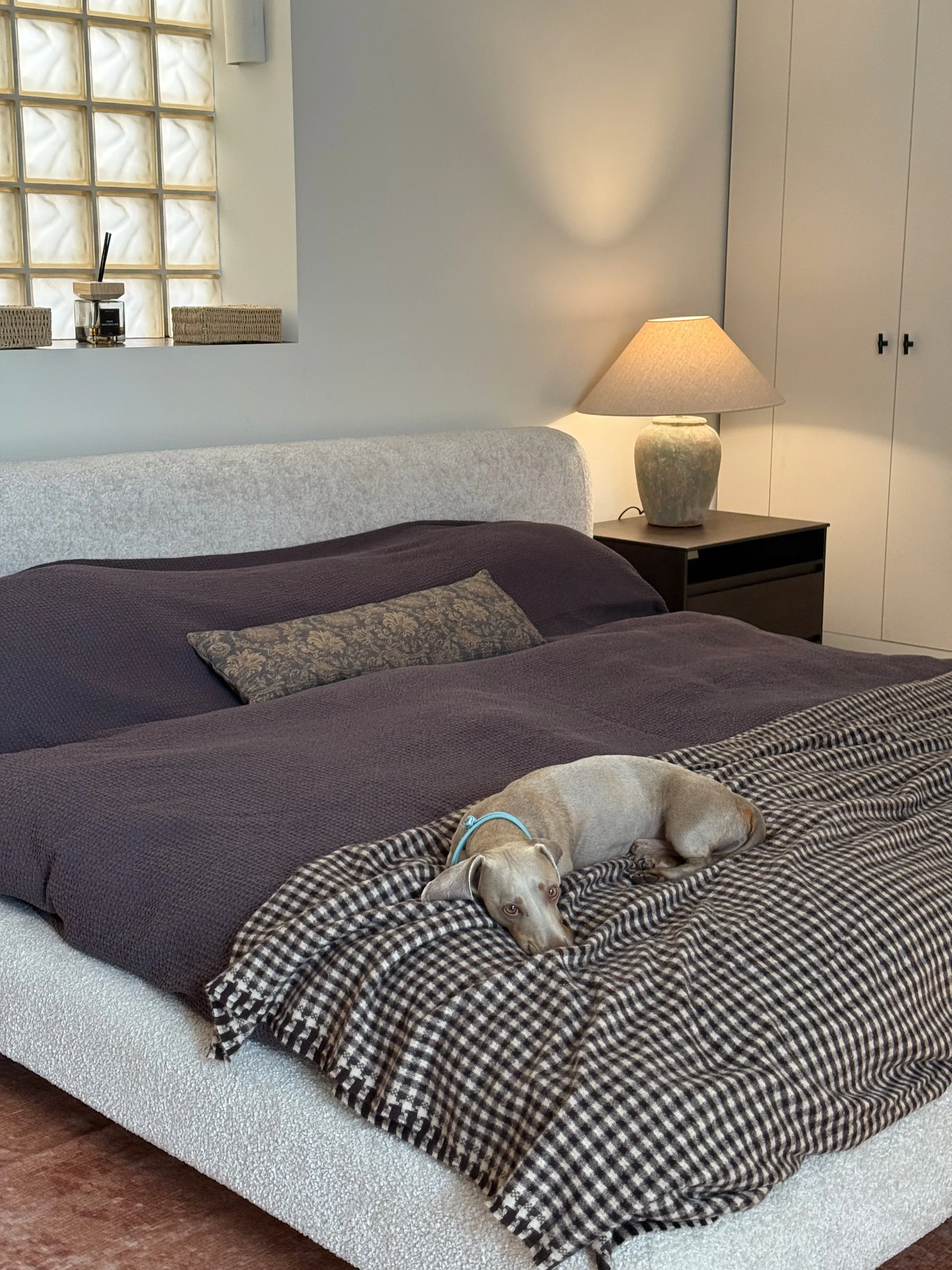 A dog with a light brown coat and floppy ears is lying on a bed with dark and light brown checkered blankets. The bed has a light-colored headboard and is against a white wall. To the right, a nightstand with a textured ceramic lamp is visible. In th
