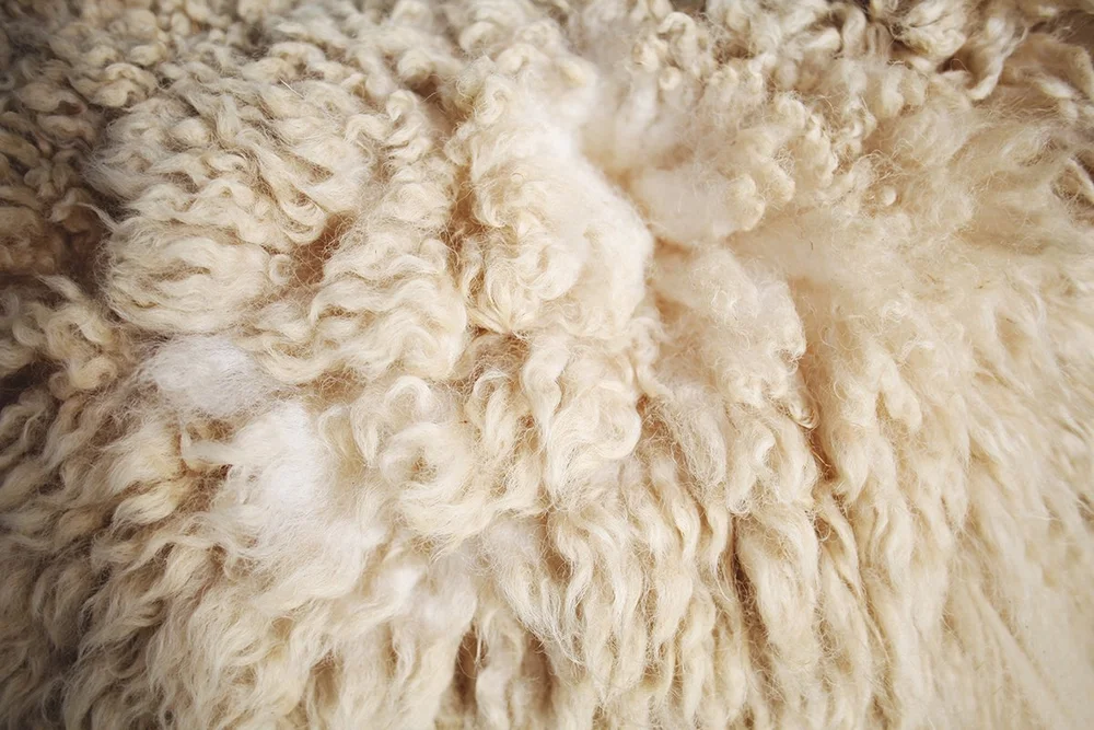 The Woolkeepers