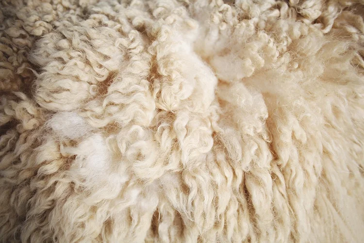 The Woolkeepers