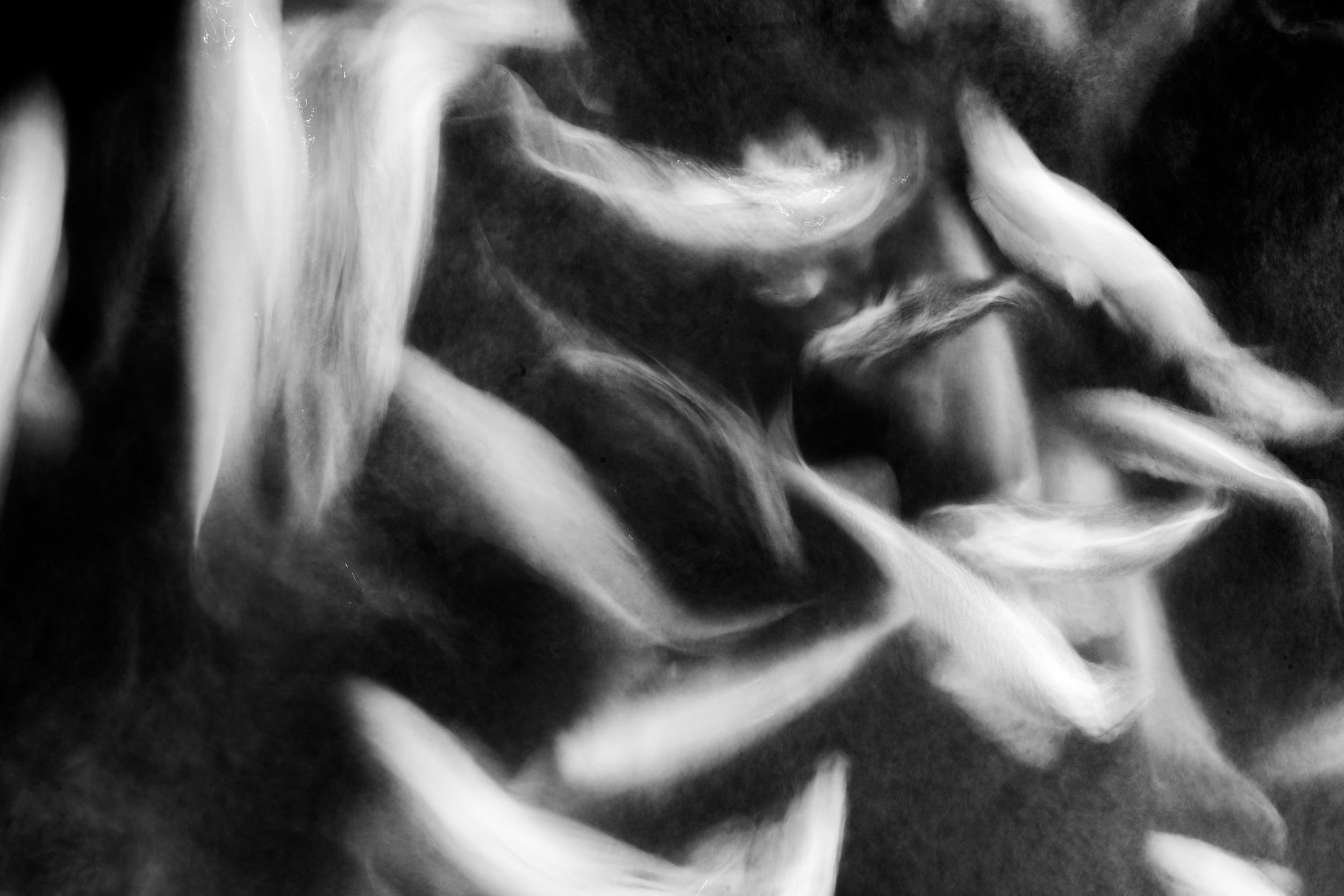 DSC00036+4.jpg