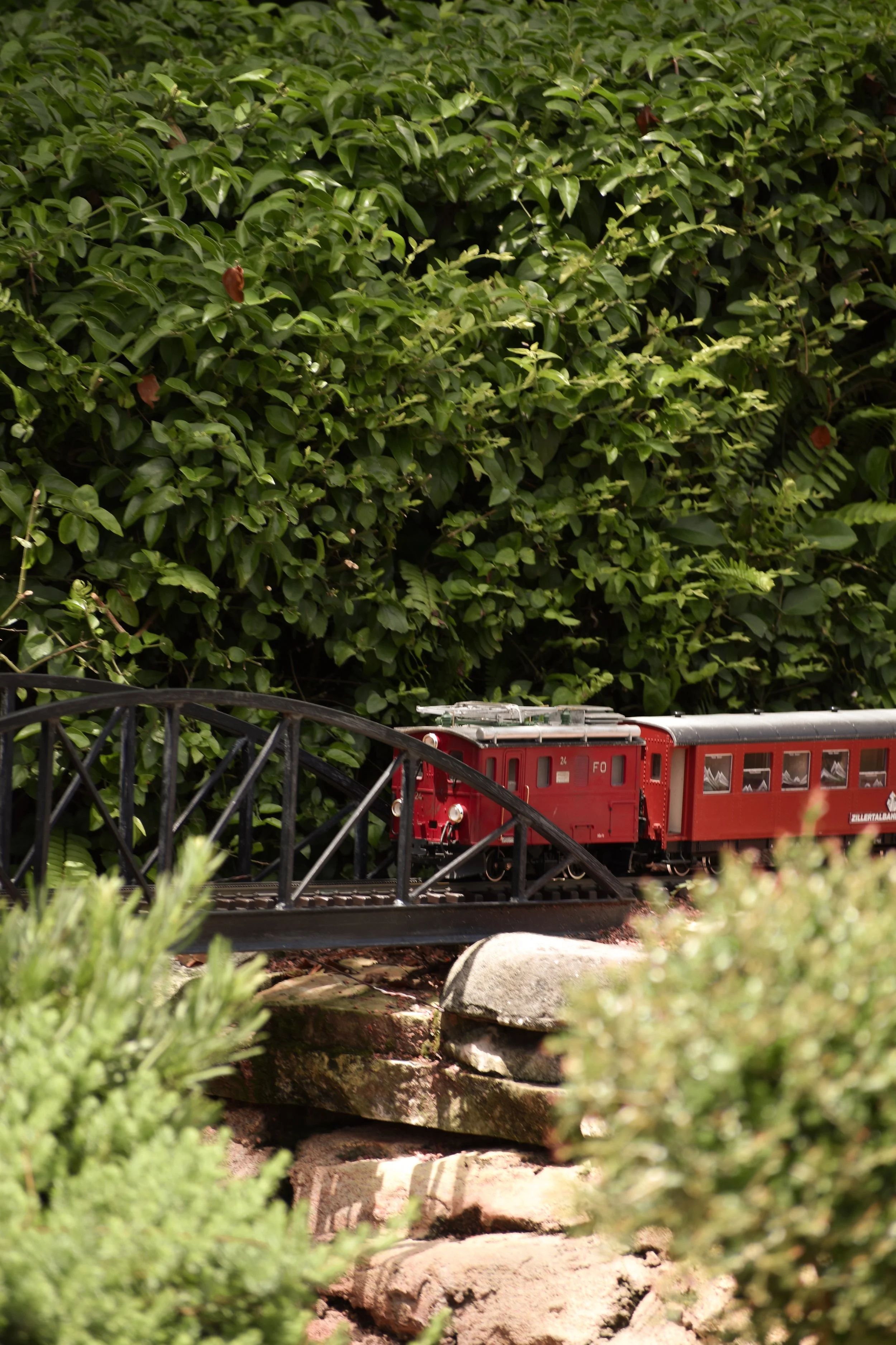 A small model train on a miniature bridge inside a garden with green foliage and rocks.