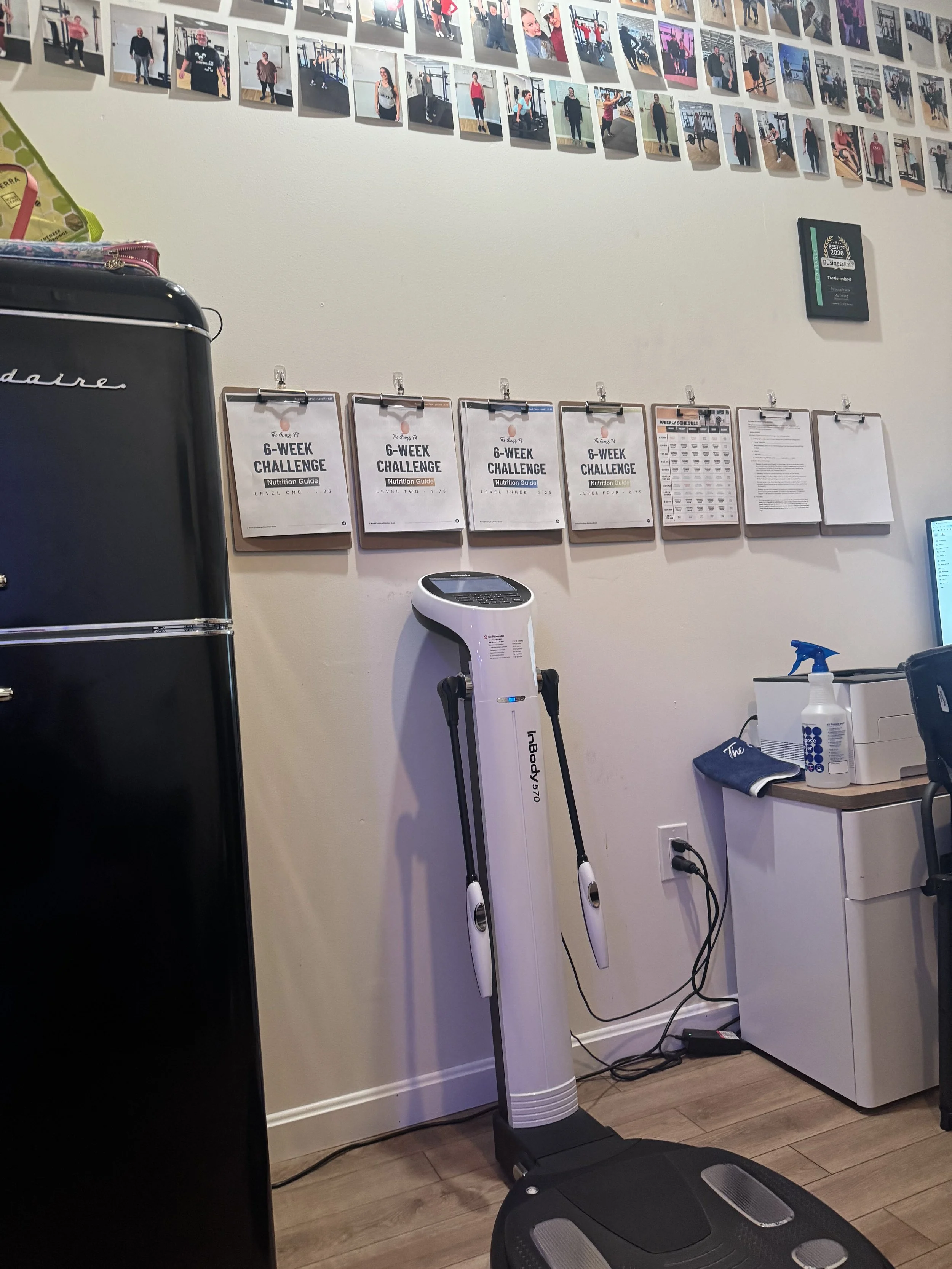 Body Composition scanner to check muscle mass and body fat at the genesis fit in marshfield ma