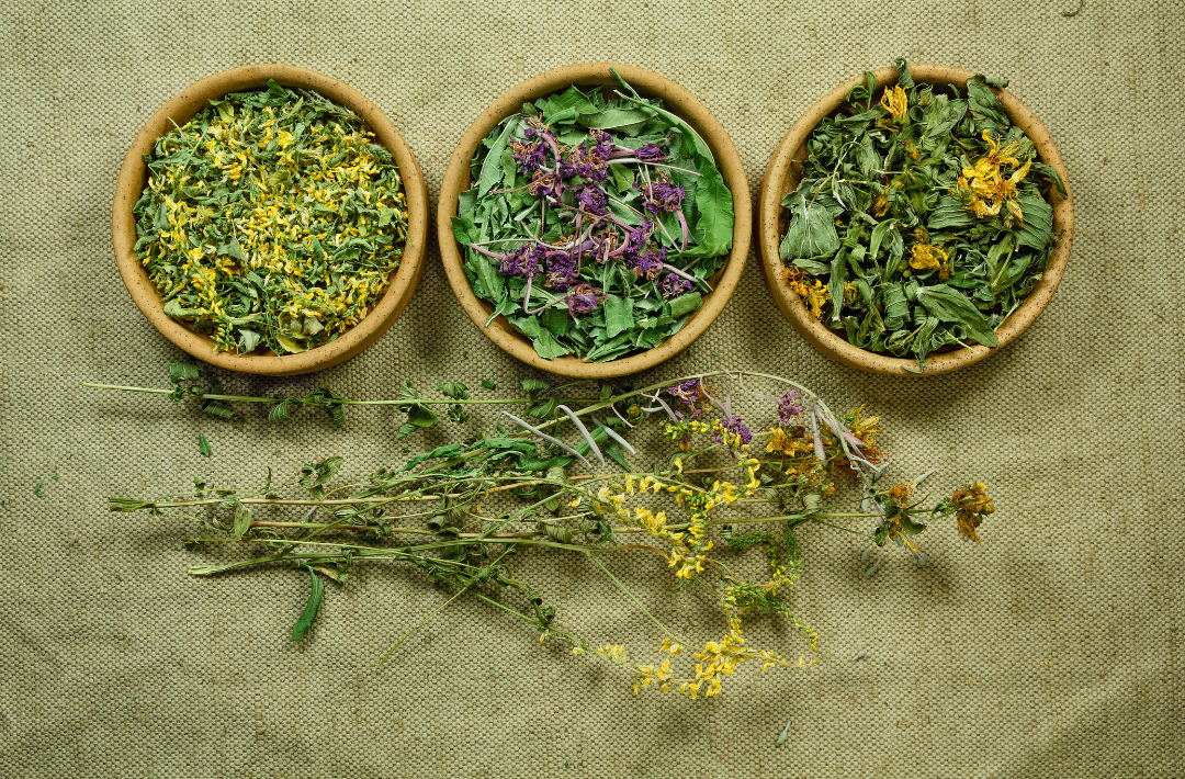 Fitoterapia no tratamento da Endometriose