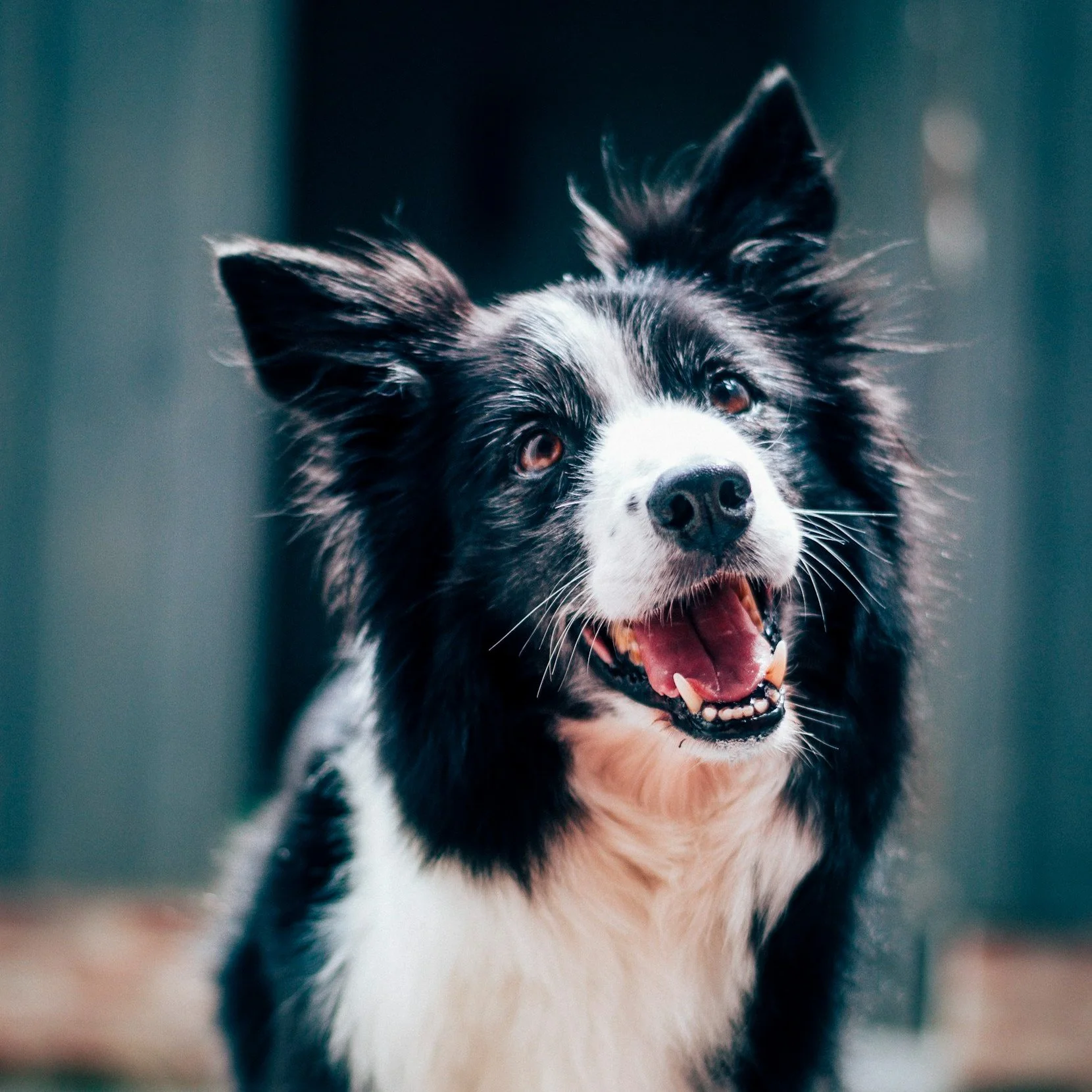 unsplash-image-mx0DEnfYxic.jpg