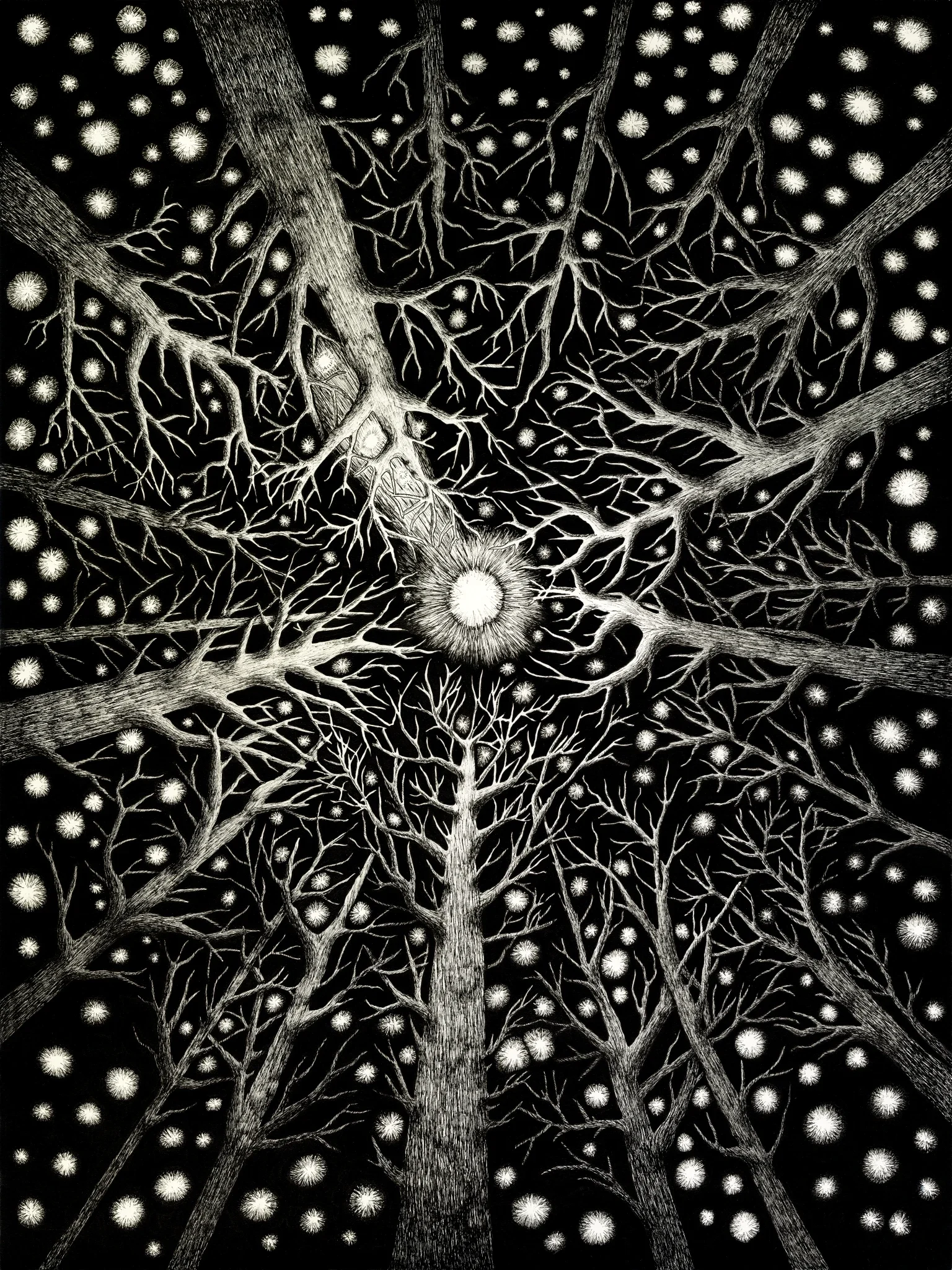 Looking Up