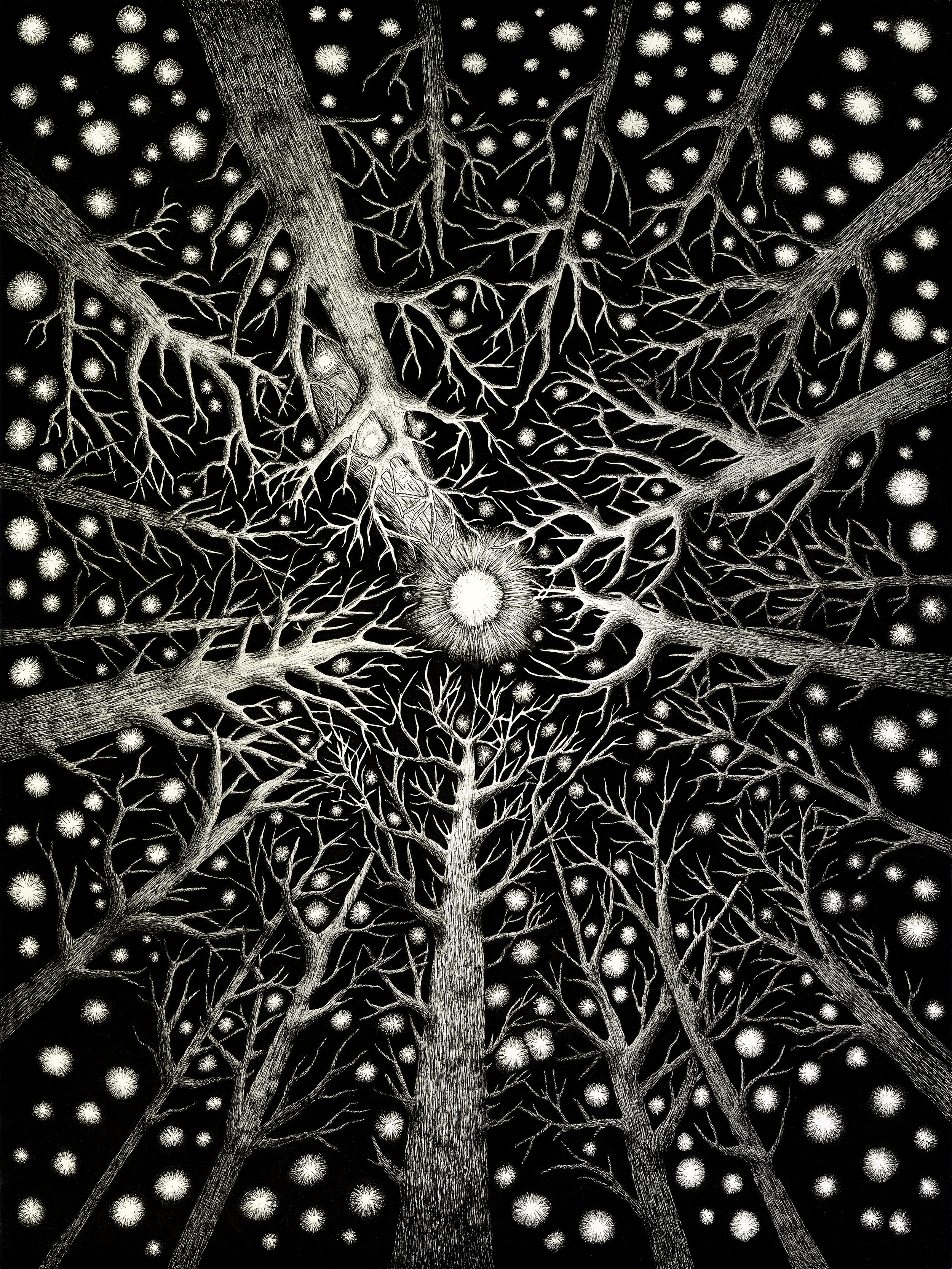 LookingUp_18x24_Small.png