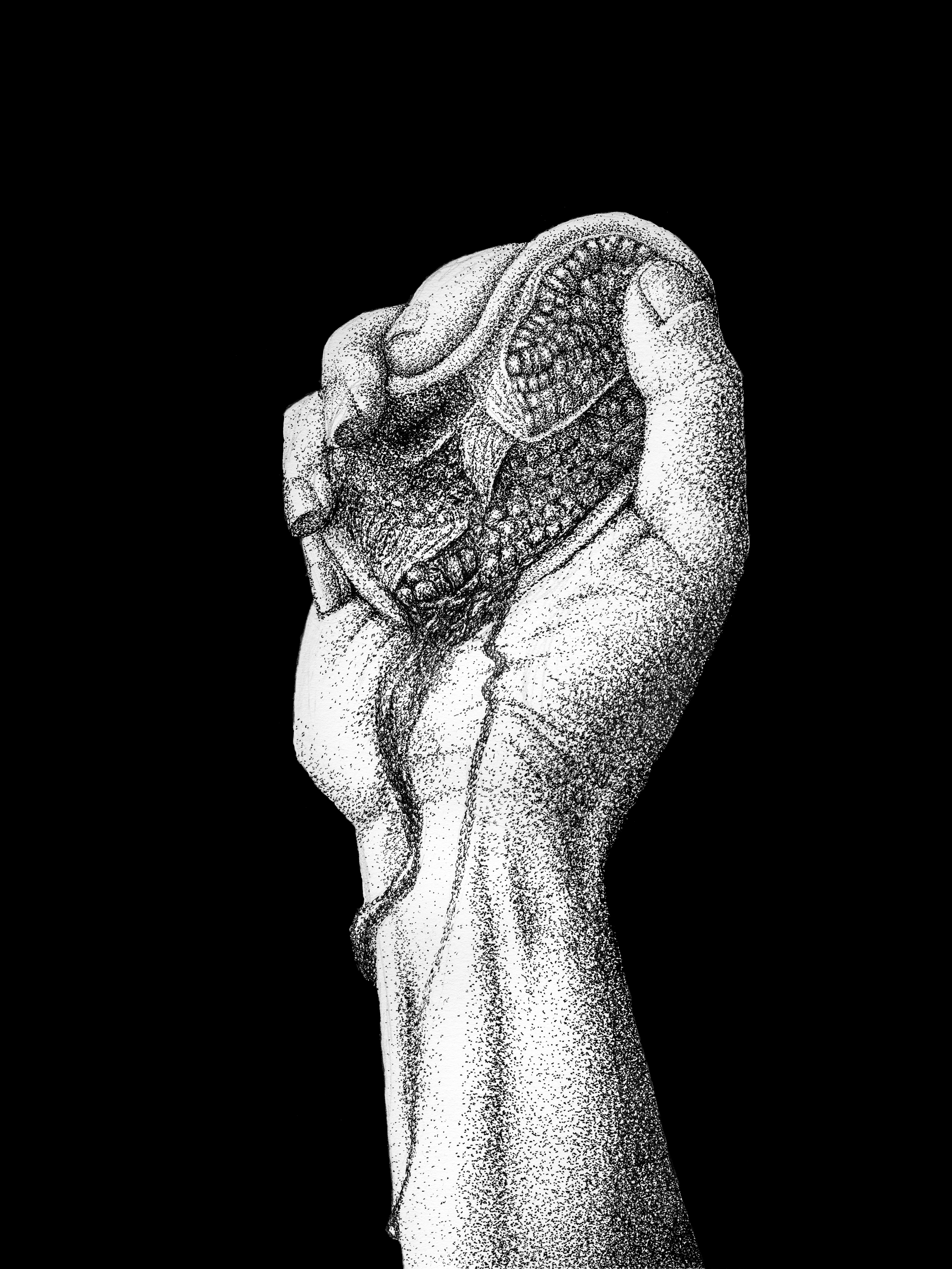 Hands And Fruit Final Scan.png