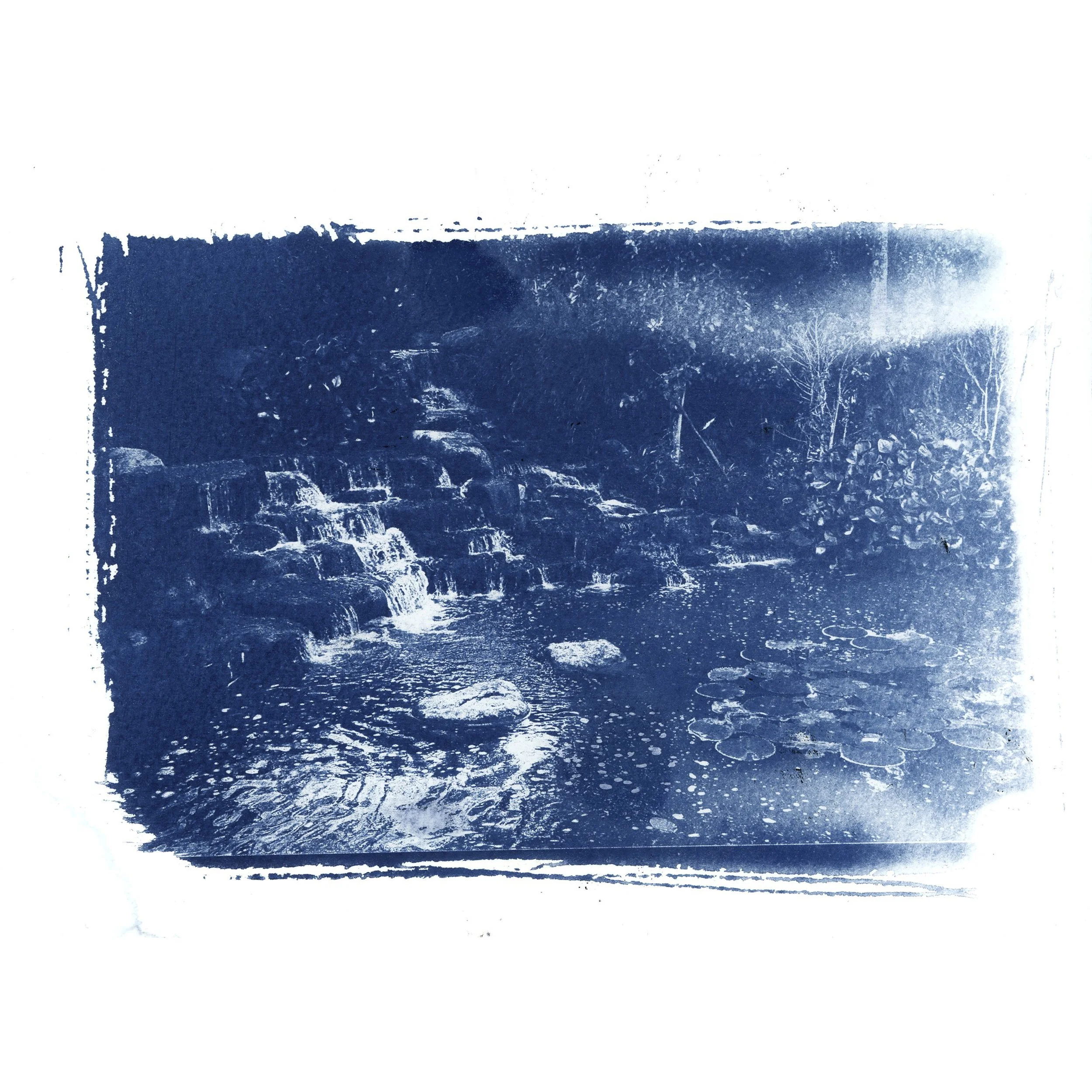 CYANOTYPES SQUARE.jpg