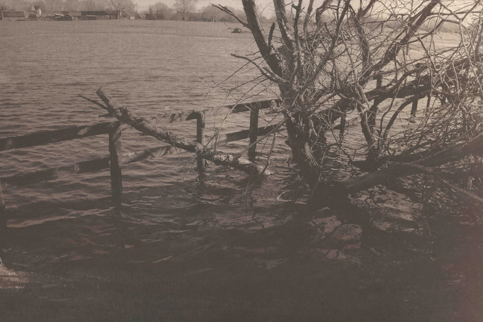 scanned salt prints lr-16 copy.jpg