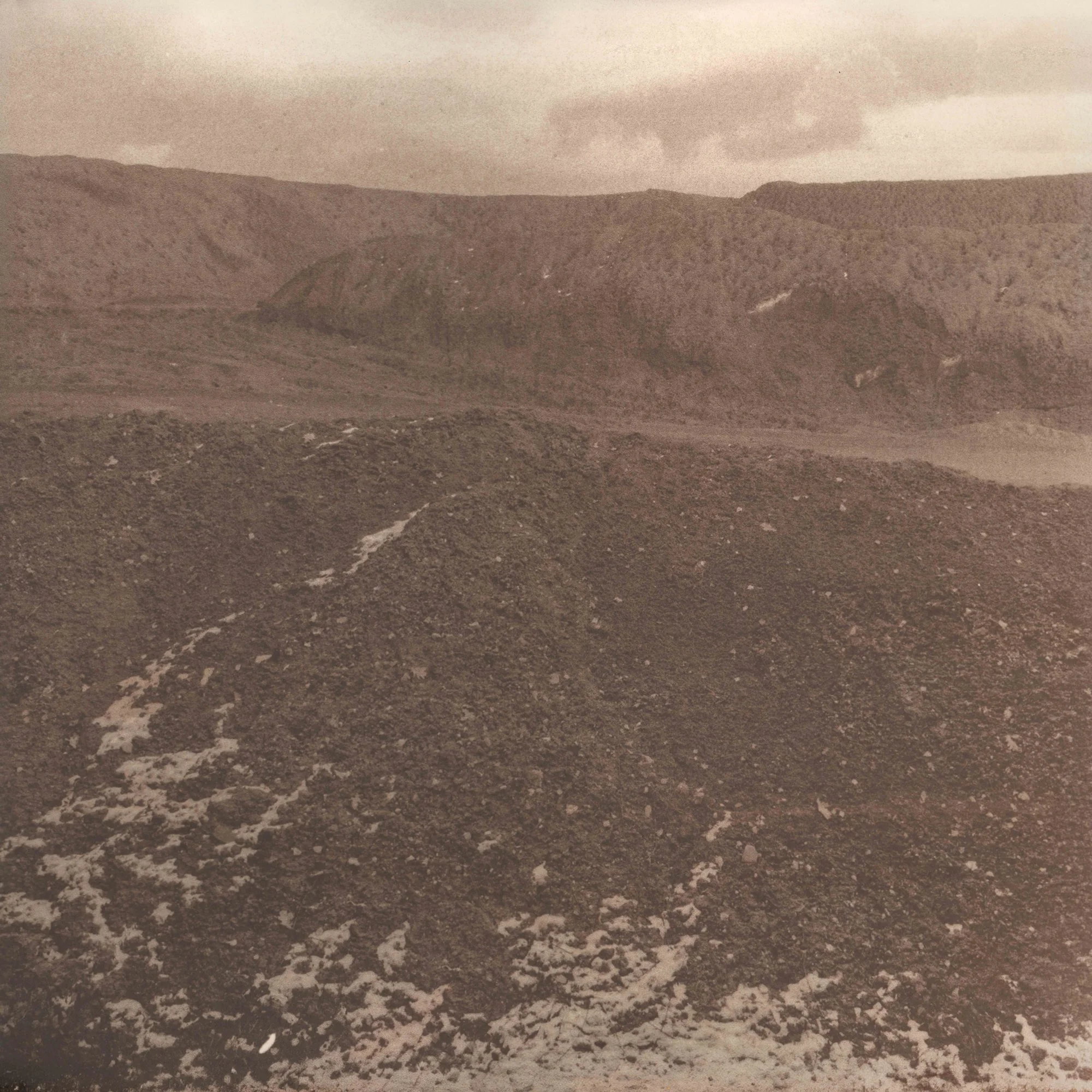 scanned salt prints lr-3 copy.jpg