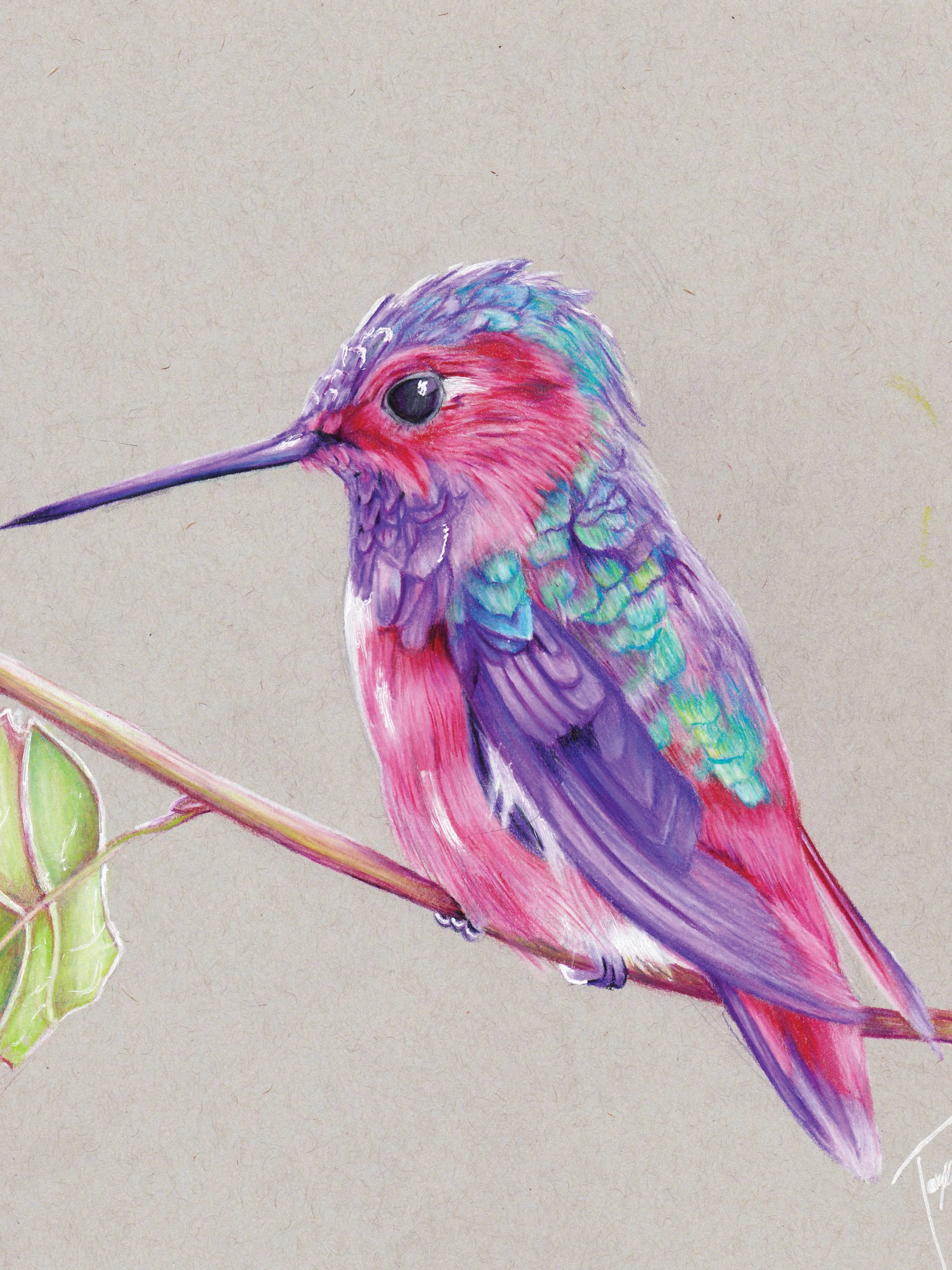 RGB_hummingbird.jpg
