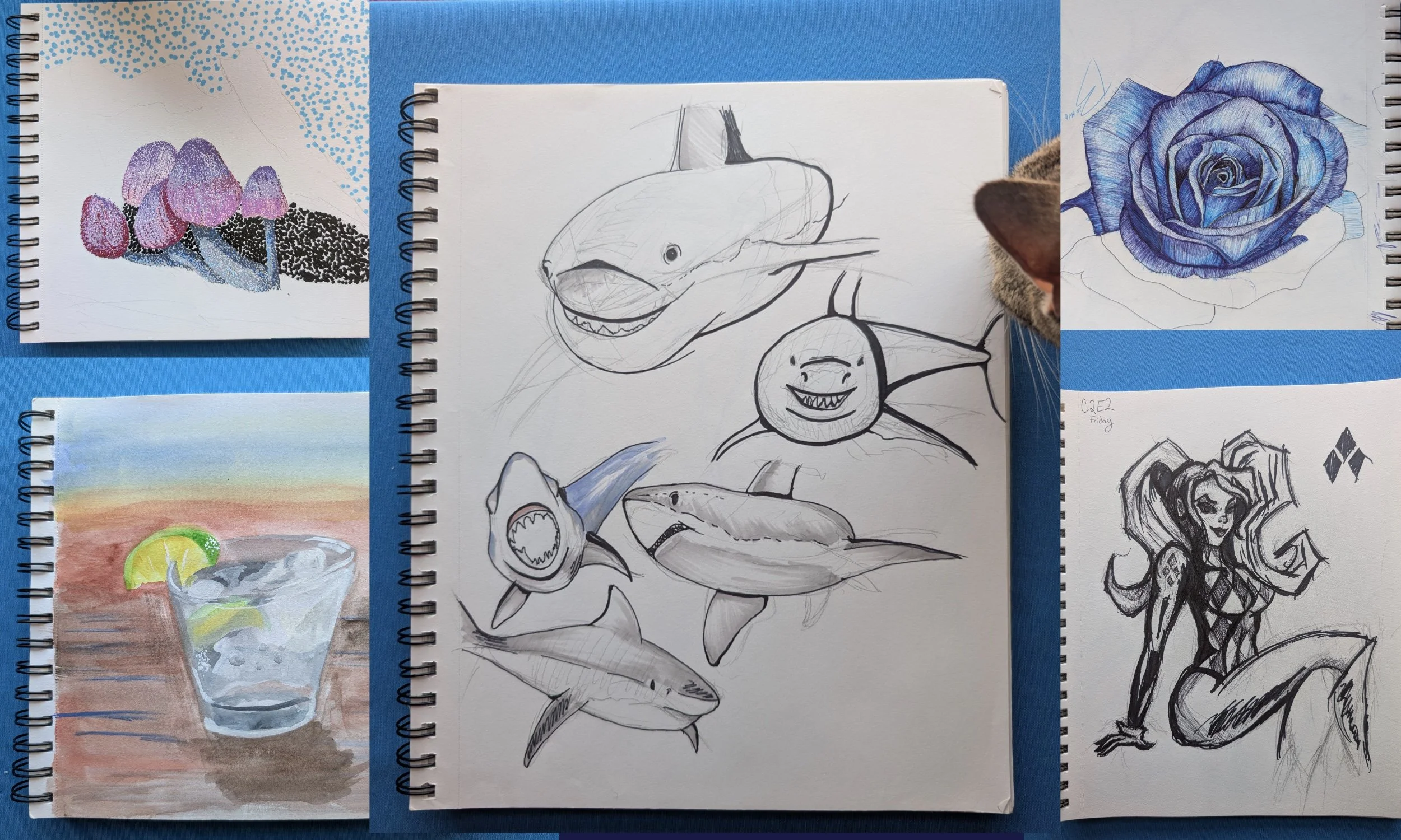 Sketchbook, Pt. 5