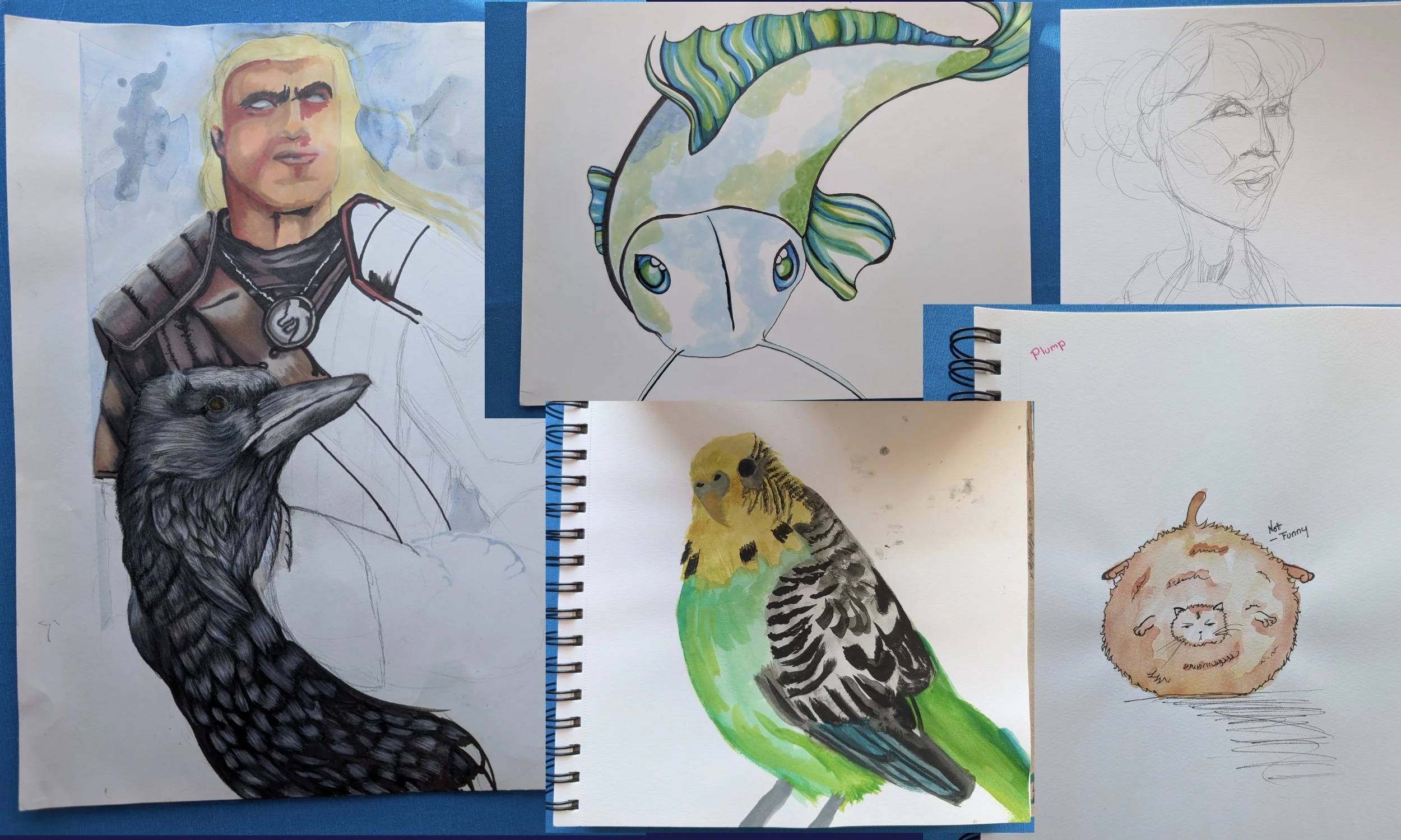 Sketchbook, Pt. 13