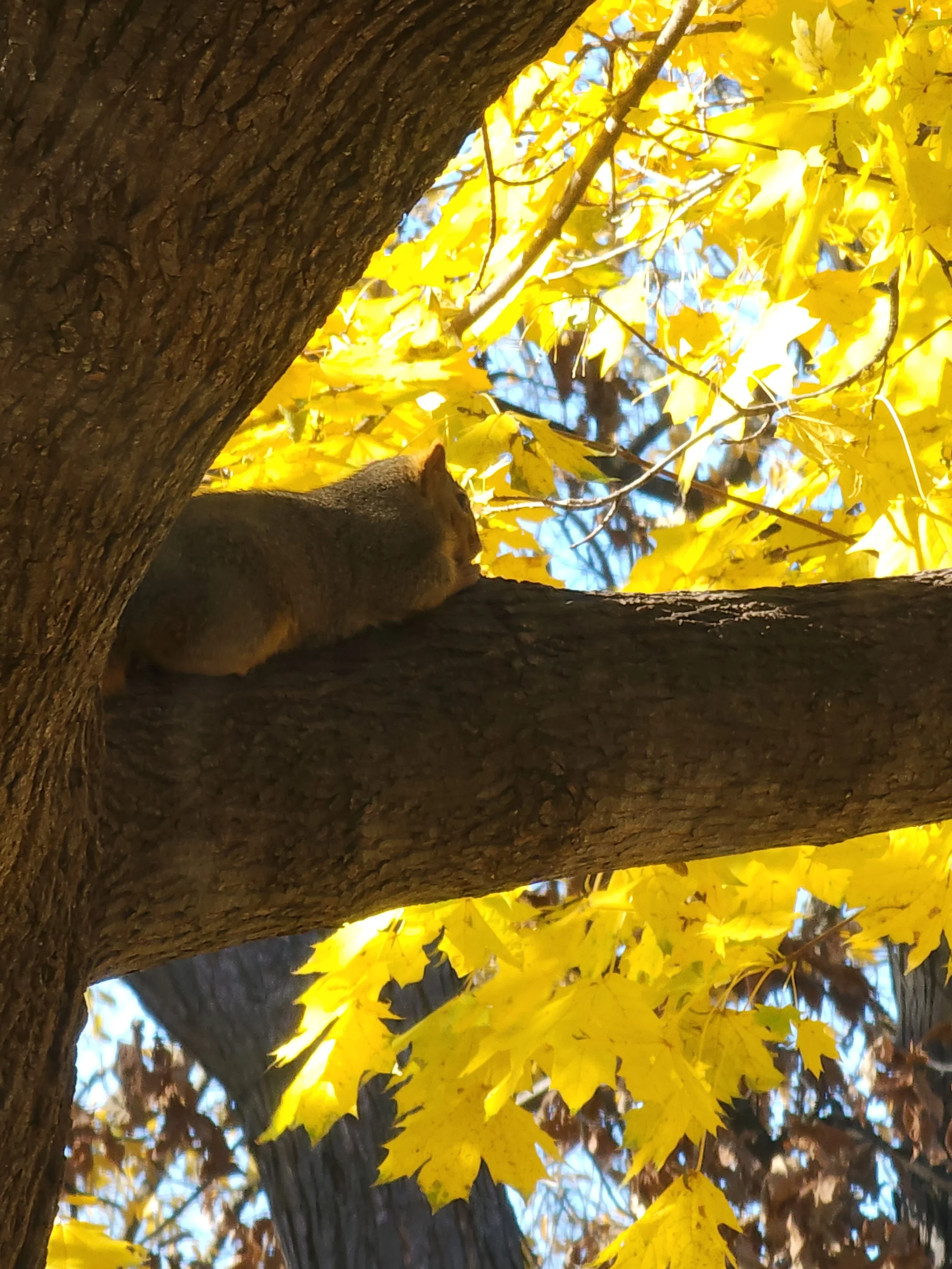 Season Colors 