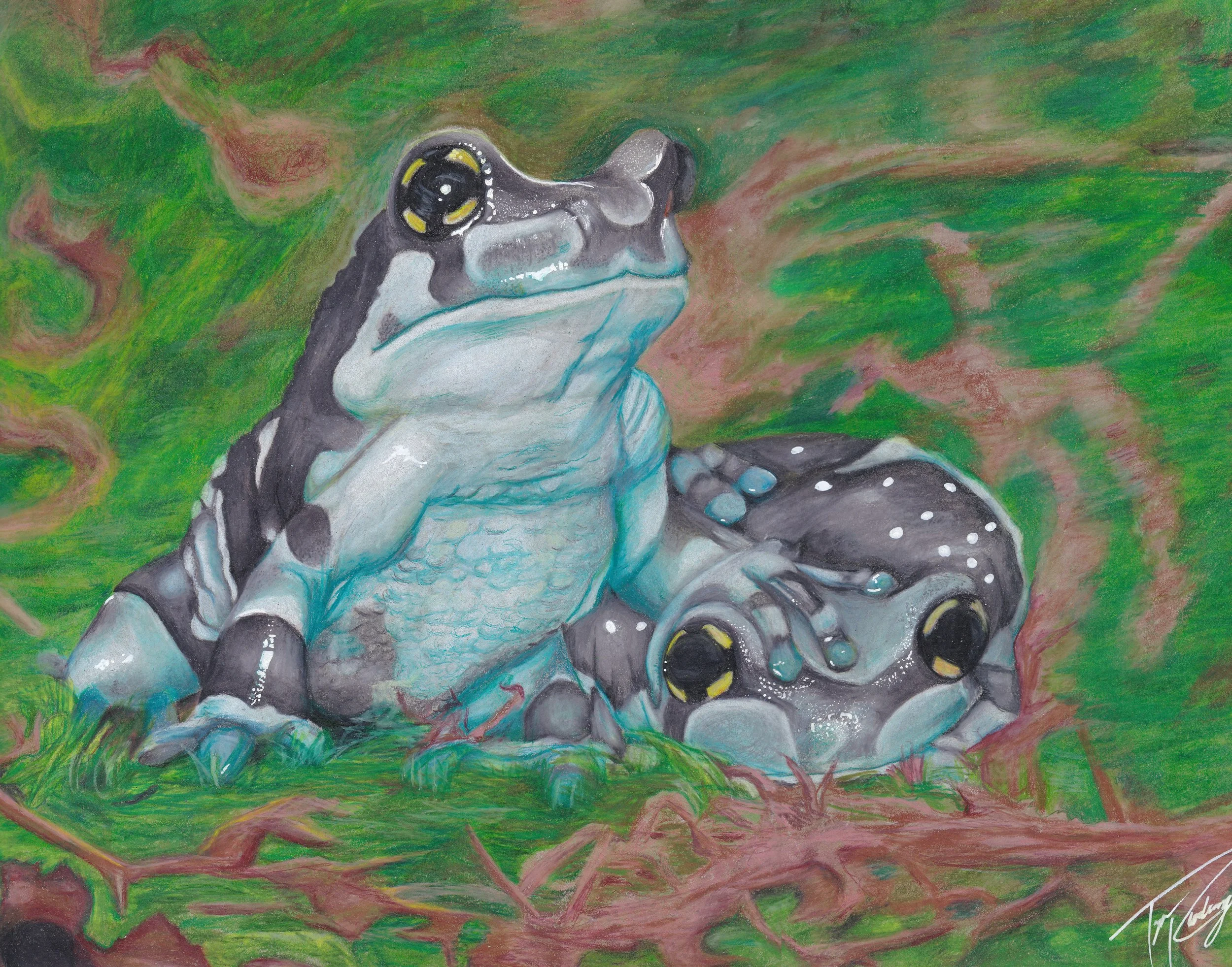 Illustration of two frogs with blue and black markings, sitting on a green and brown abstract background.