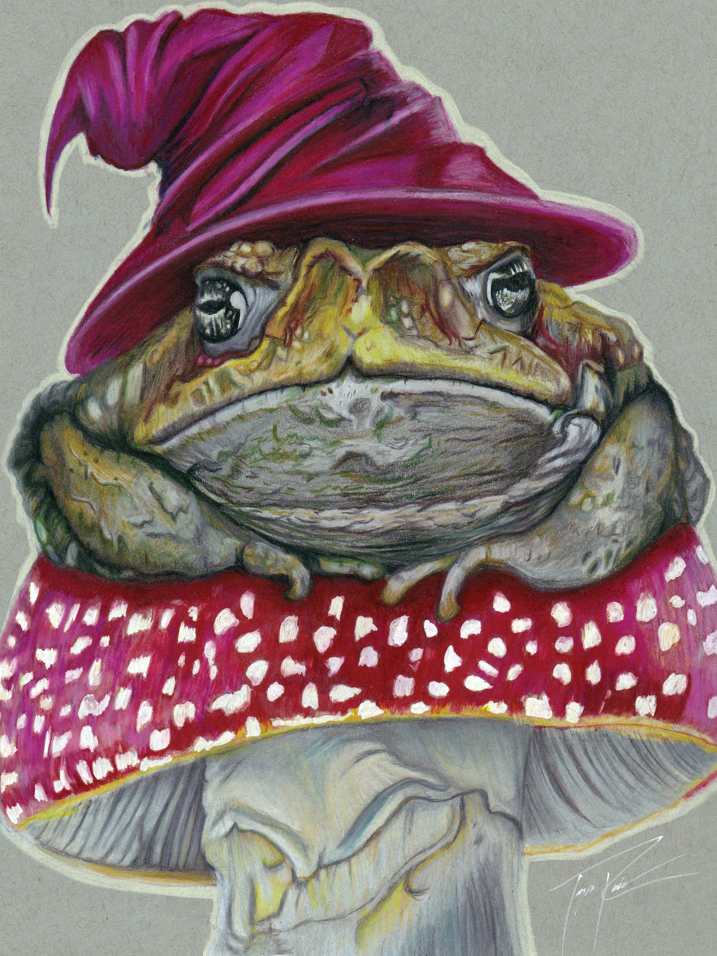 Frog wearing a red hat sitting on a red mushroom.