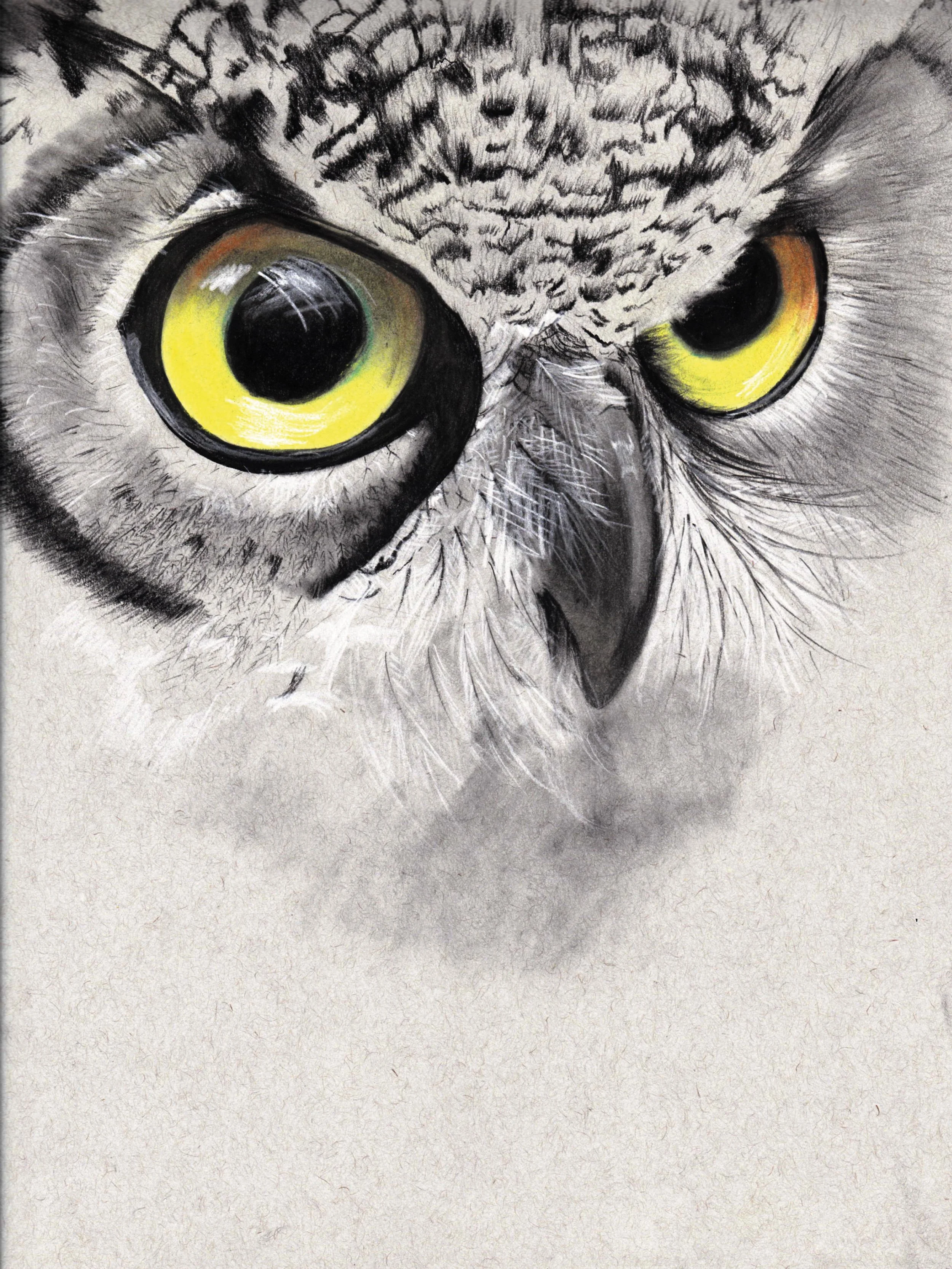 RGB_owl.jpg