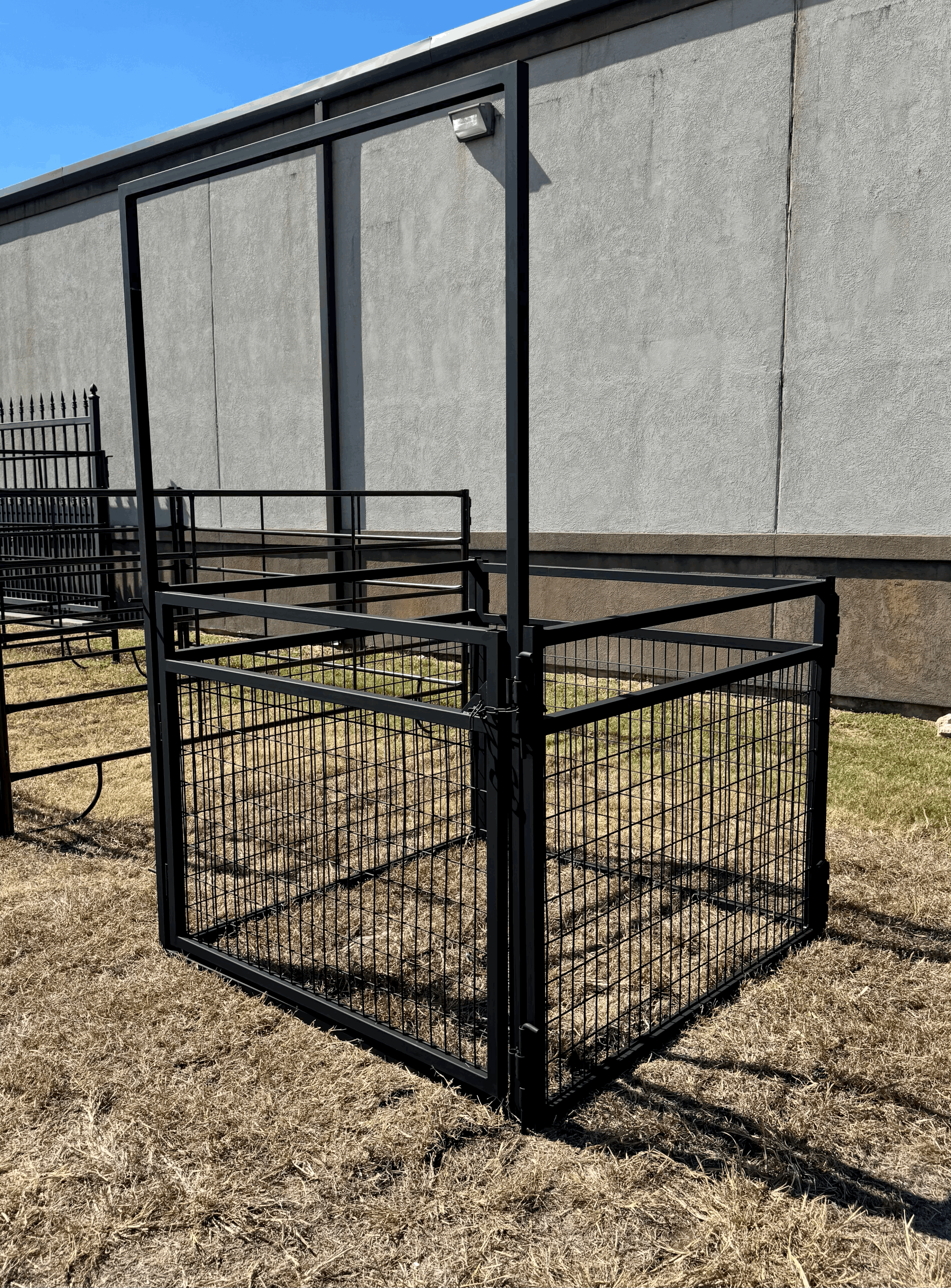 tempImageFd81J0.gif (Copy)