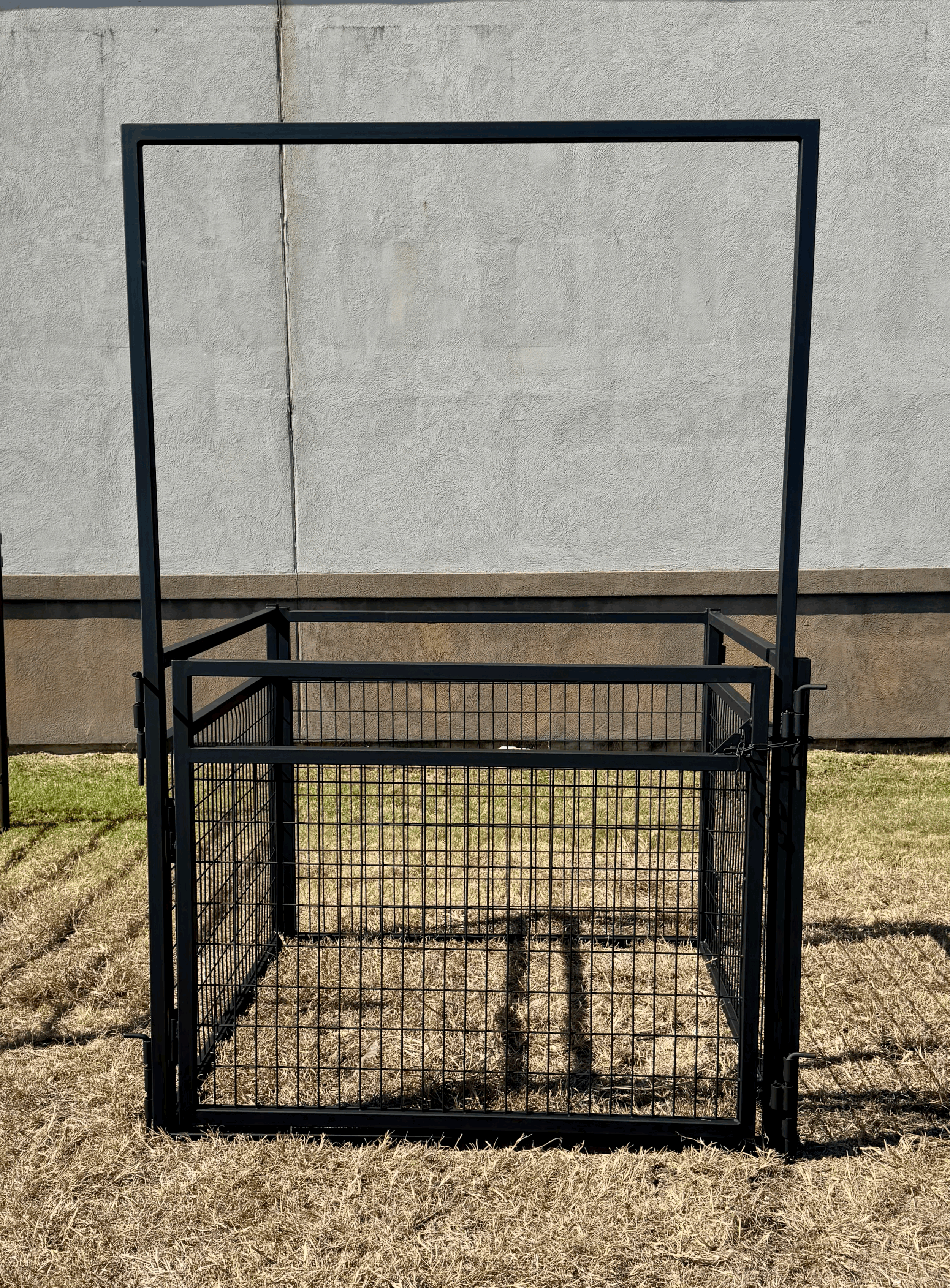 tempImageVn5YRc.gif (Copy)