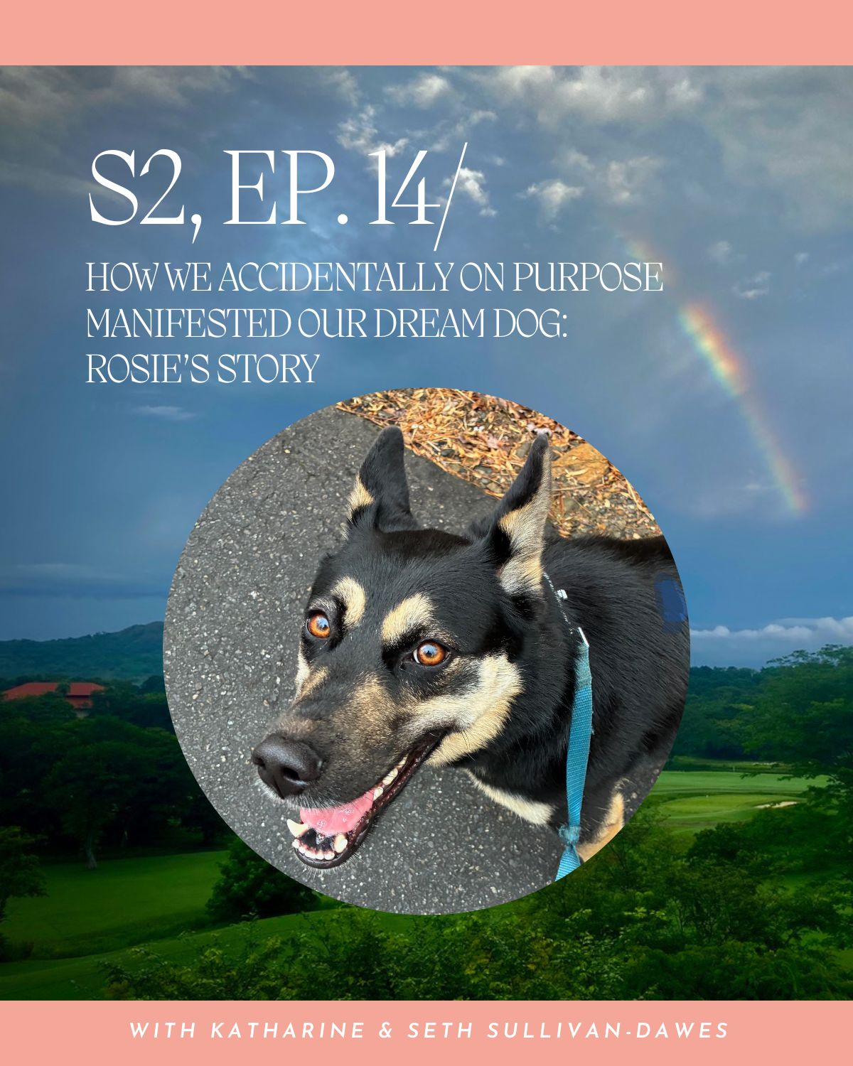 S2, Ep. 14 / HOW WE ACCIDENTALLY ON PURPOSE MANIFESTED OUR DREAM DOG:ROSIE’S STORY