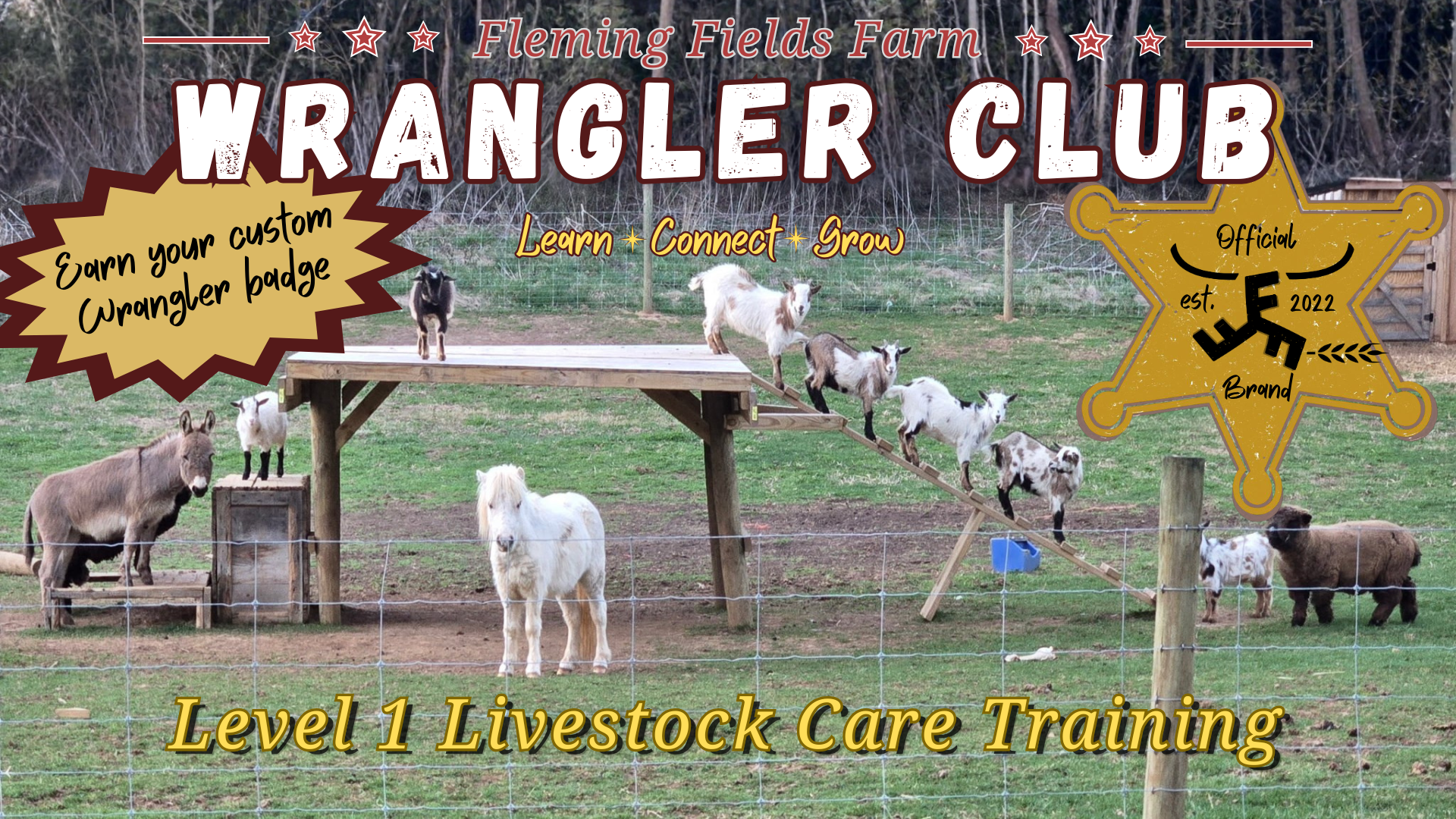 Wrangler Club - Level 1