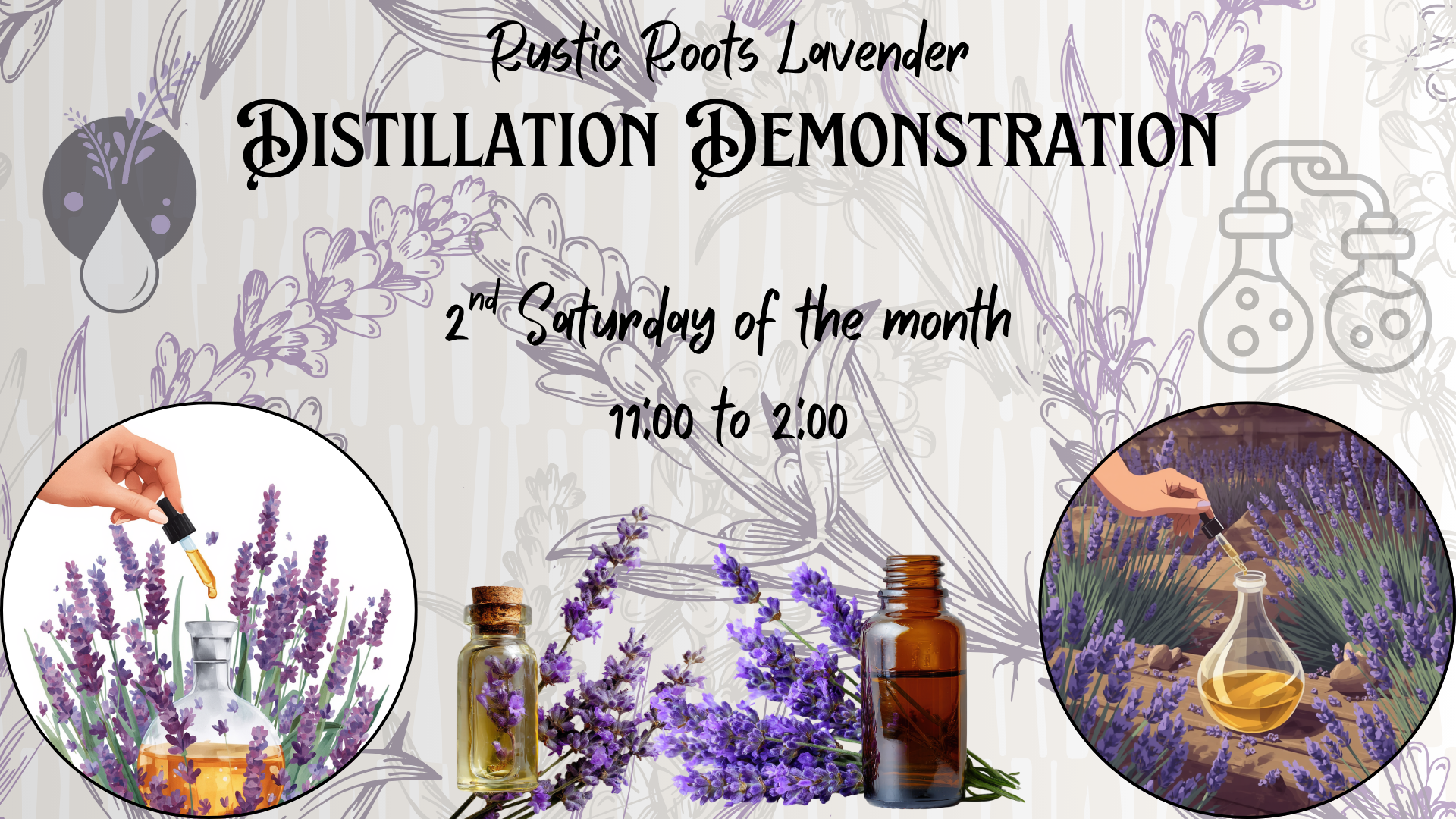 Lavender Distillation Demonstration