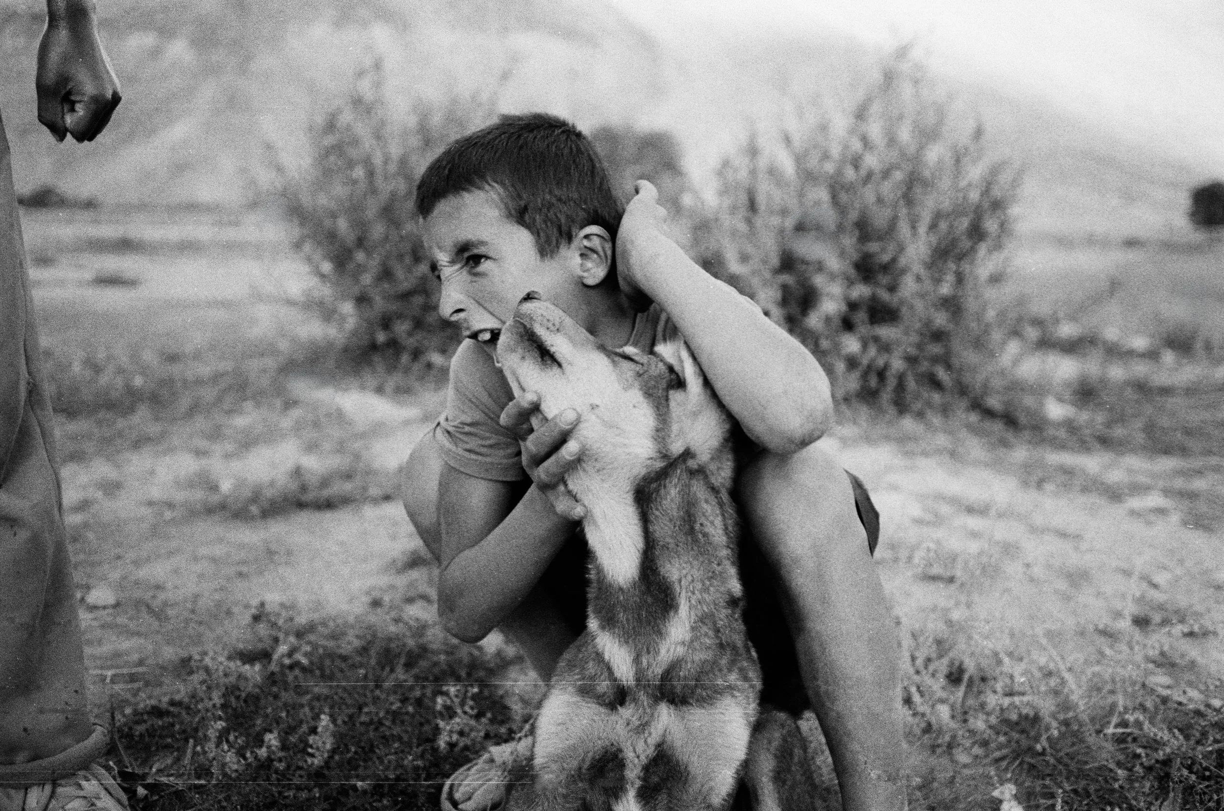 Un garçon serre un chiot avec un esprit de jeu et de tendresse, dans un environnement en plein air.
