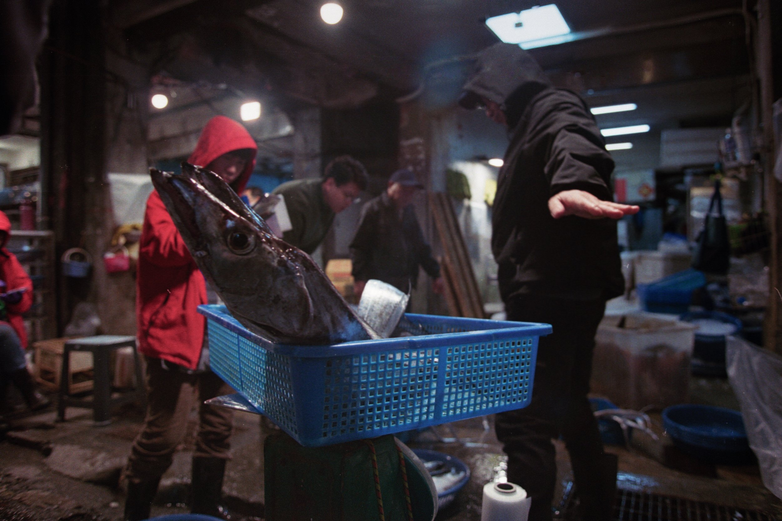 Des personnes portent un poisson dans un panier bleu dans un marché couvert, ambiance sombre et humide.