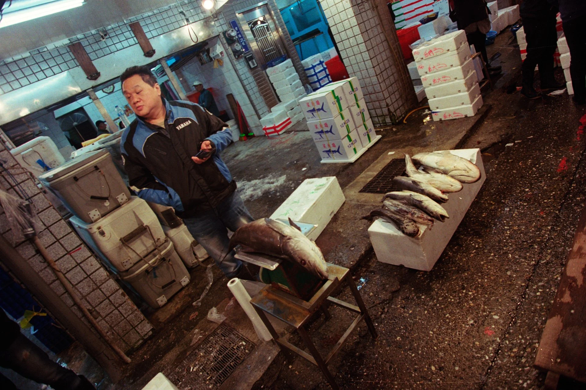 Poisson frais exposés sur des blocs de glace dans un marché de poisson nocturne en Asie.