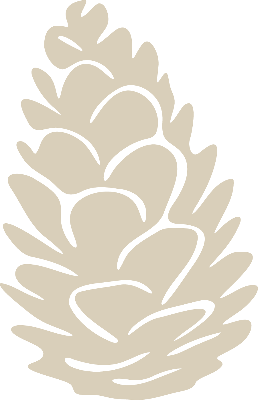 Simplified illustration of a pine cone with beige scales outlined in black.