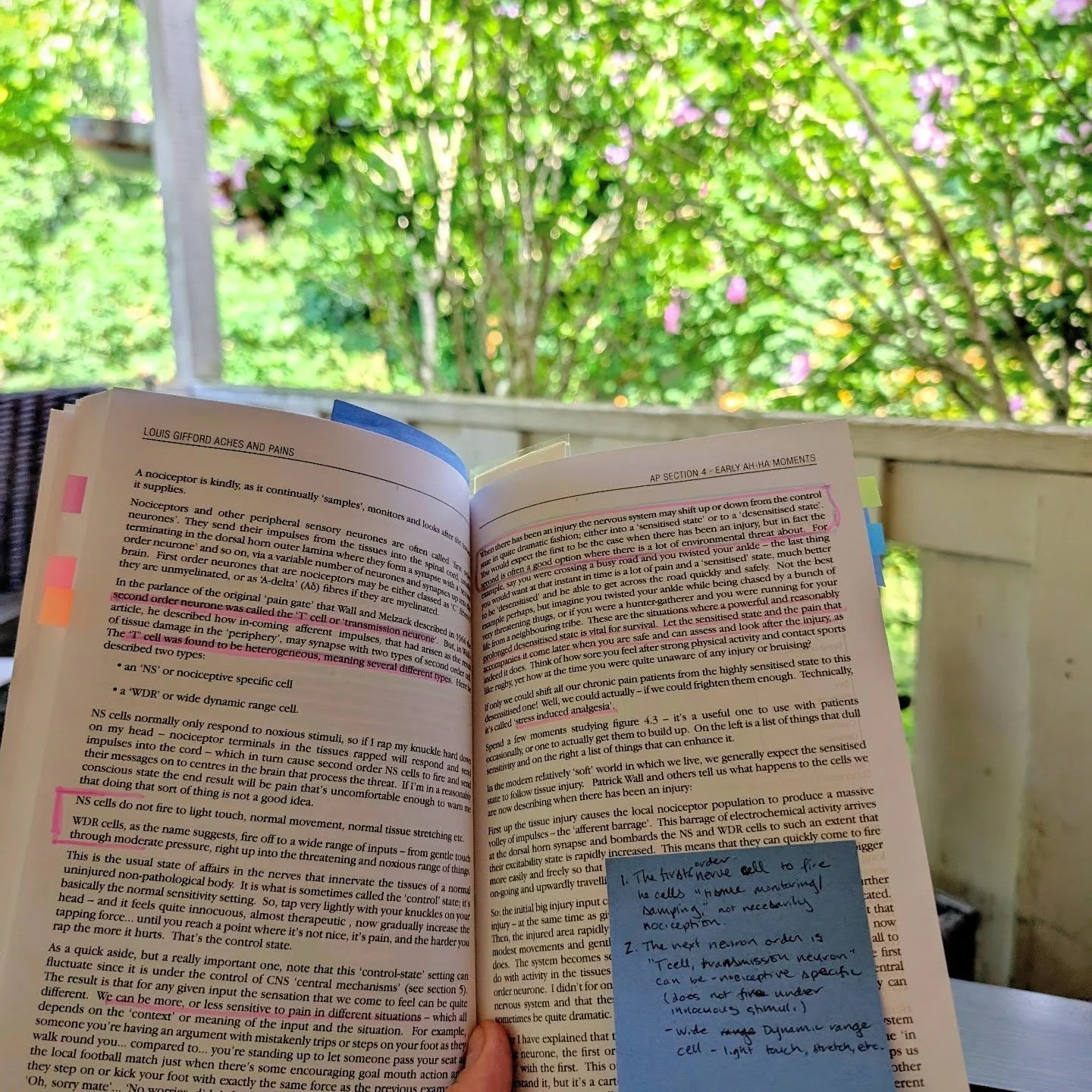 Born to study the neurophysiology of pain in a comfy chair on the patio, forced to log business miles and wash dishes. ☹️