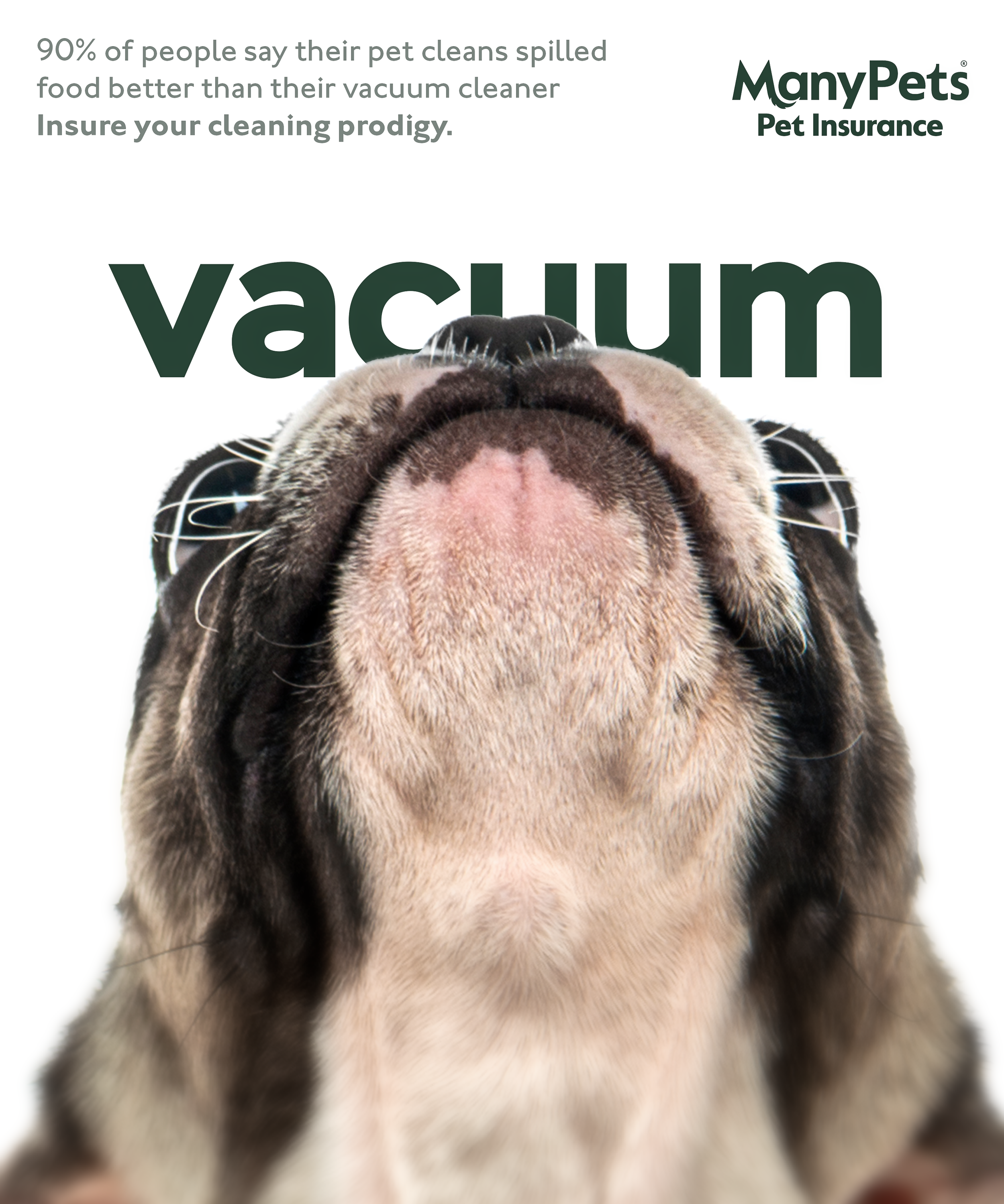 Many Pets Third Piece.png