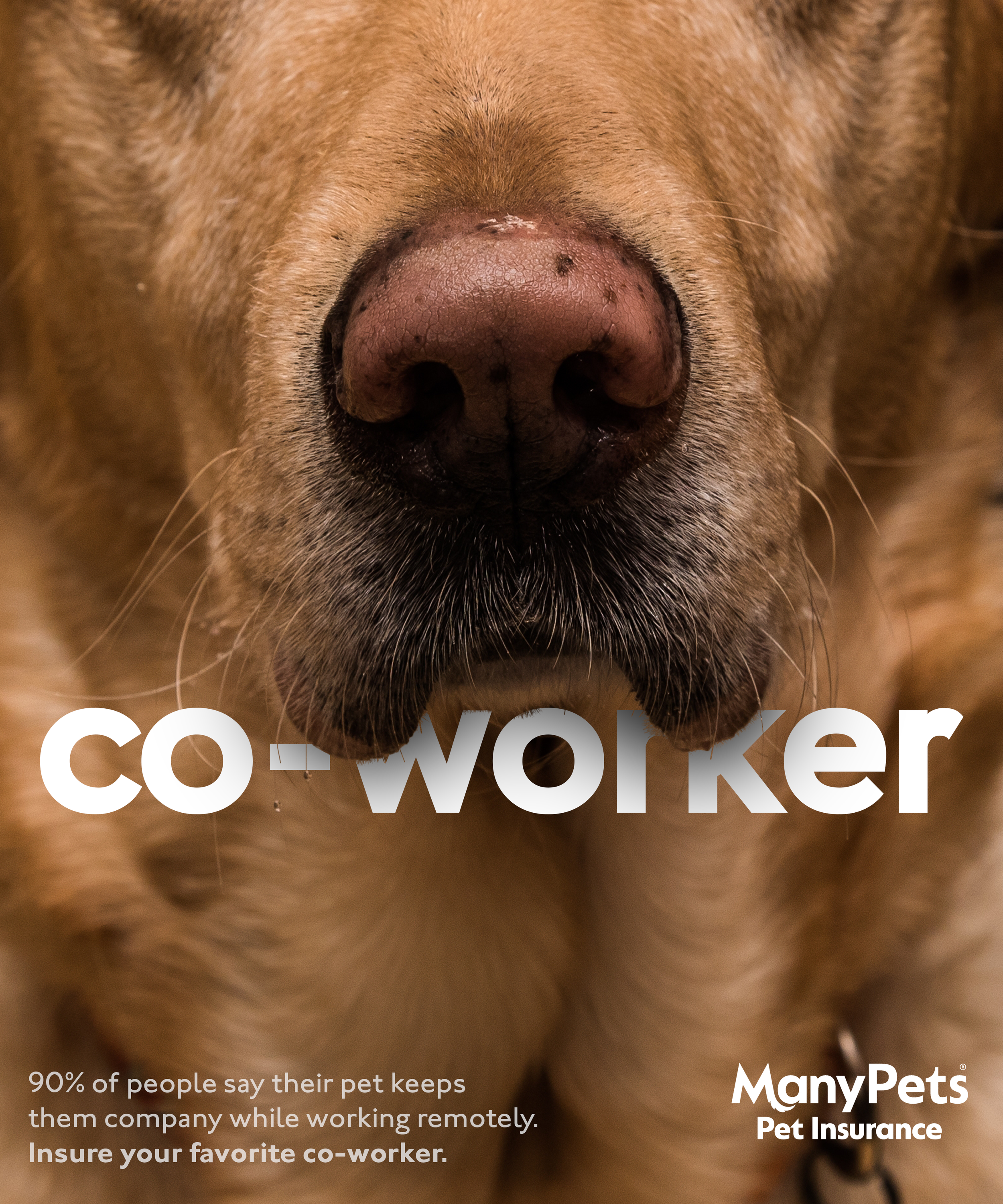 Project 3 Triplet.png