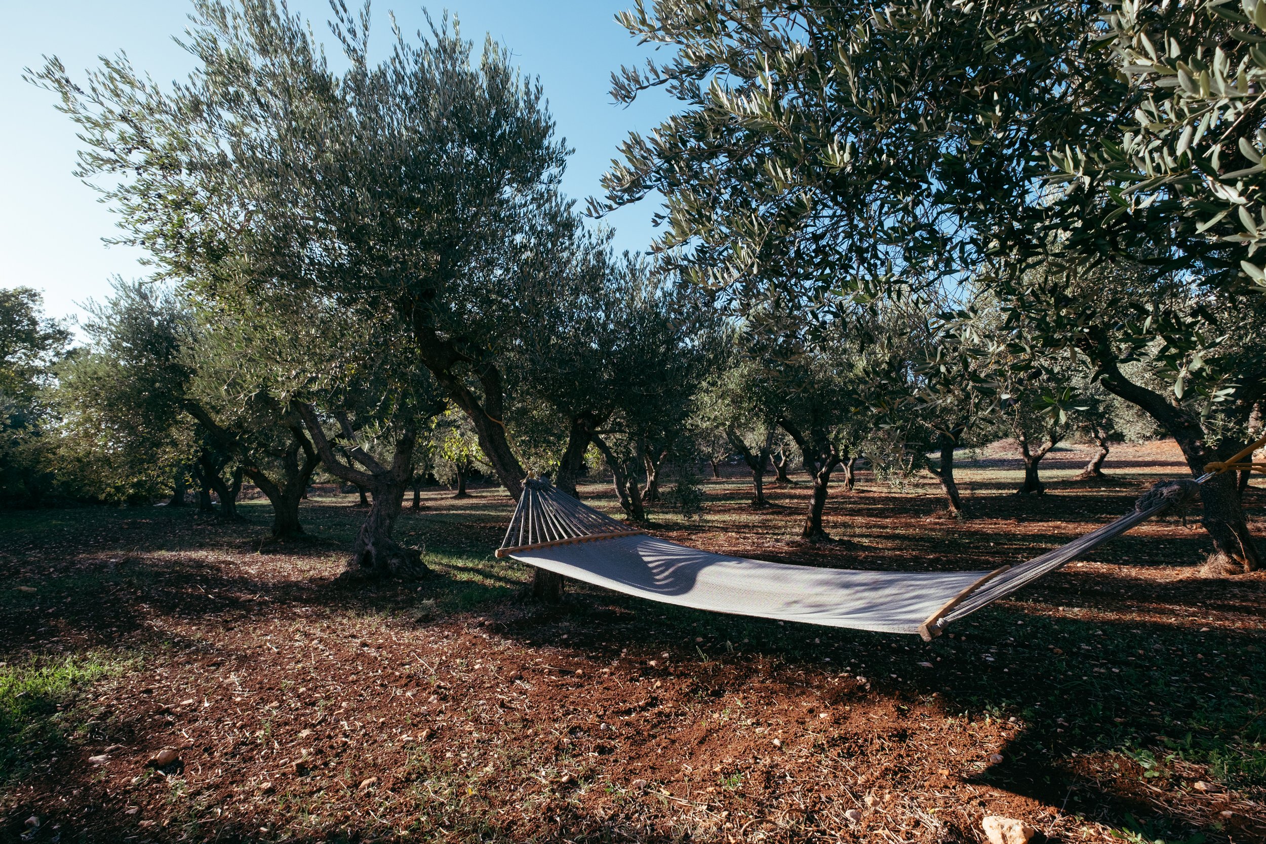 hammock - casa oniro - olivetrees - puglia - ostuni.jpg