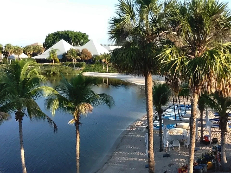 Palm trees along the sandy edge of a calm river, with rows of kayaks and small sailboats, and white pyramid-roofed buildings across the water