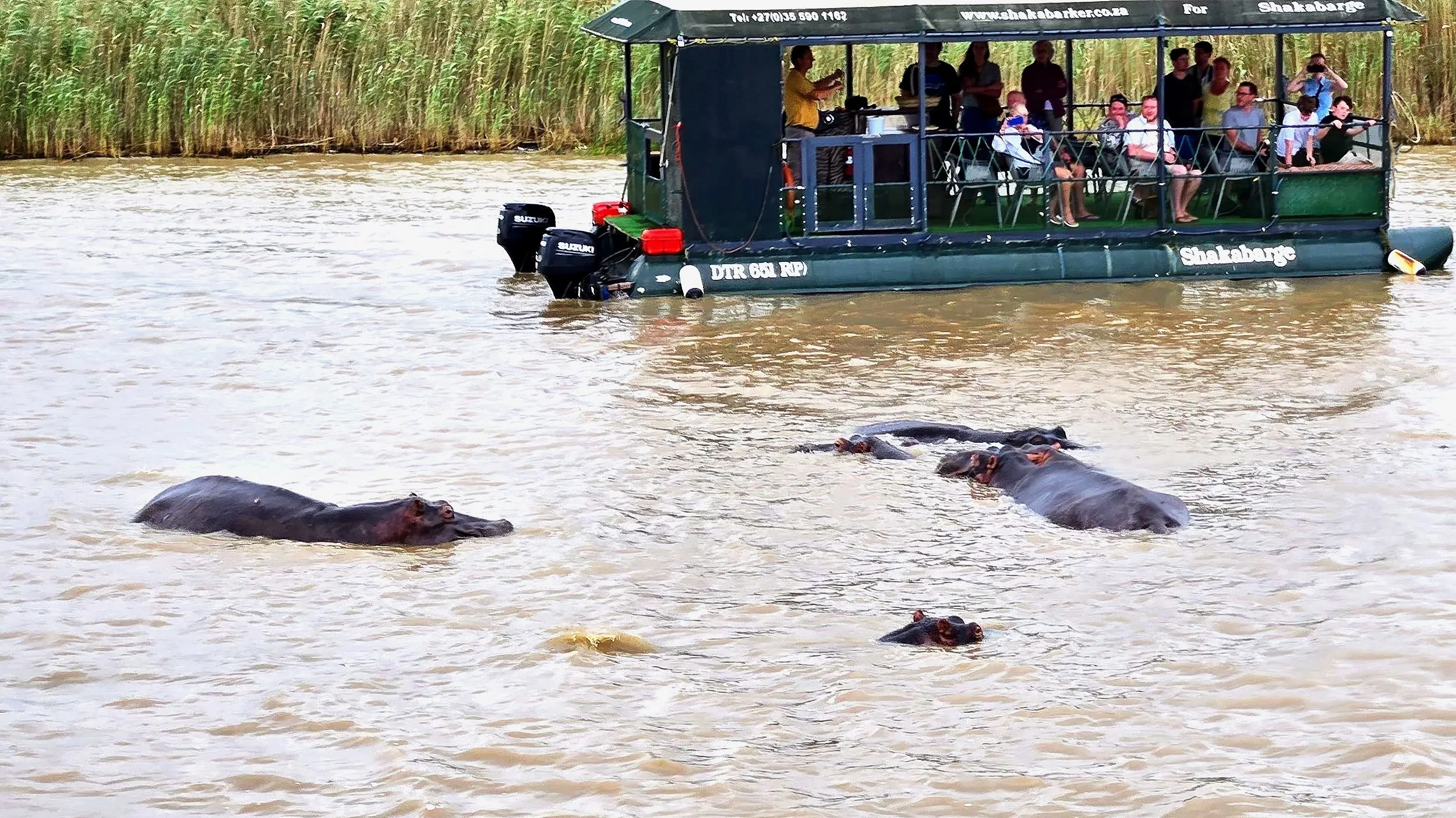 Boat safari at iSimangaliso Wetland Park UNESCO site