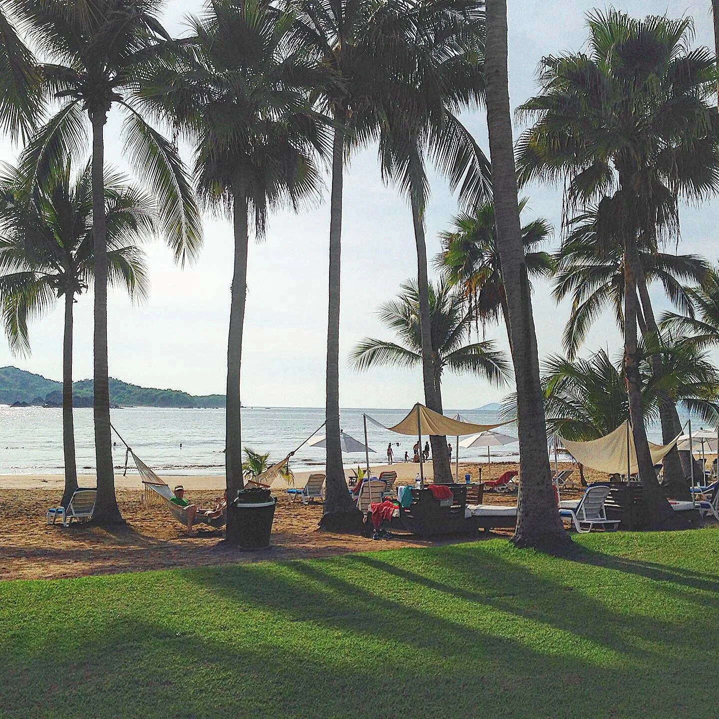 Palmiers, hamacs et transats sur la plage du Club Med Ixtapa Pacific, avec la baie derrière
