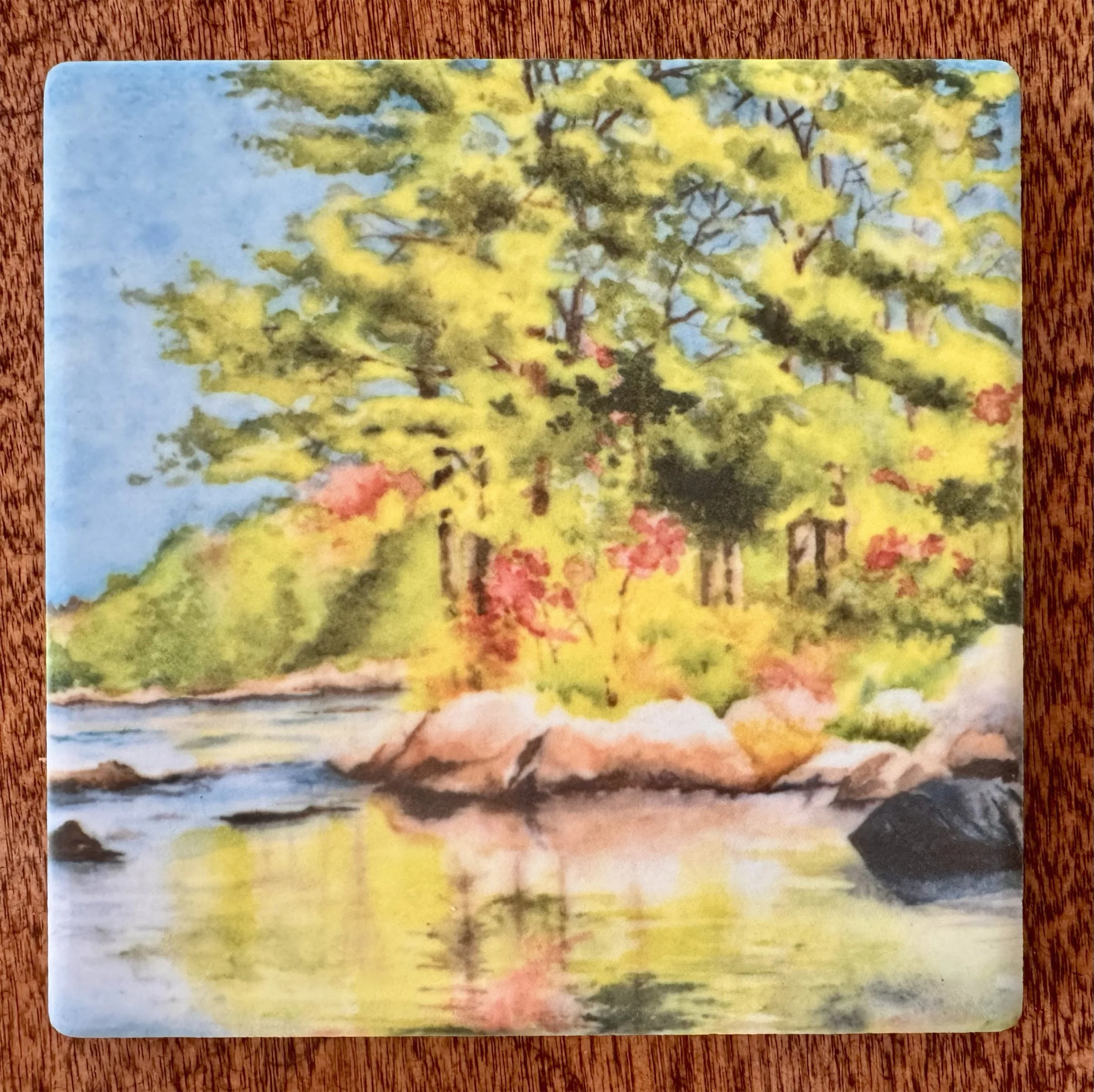 Coaster Moose River Reflections.jpg