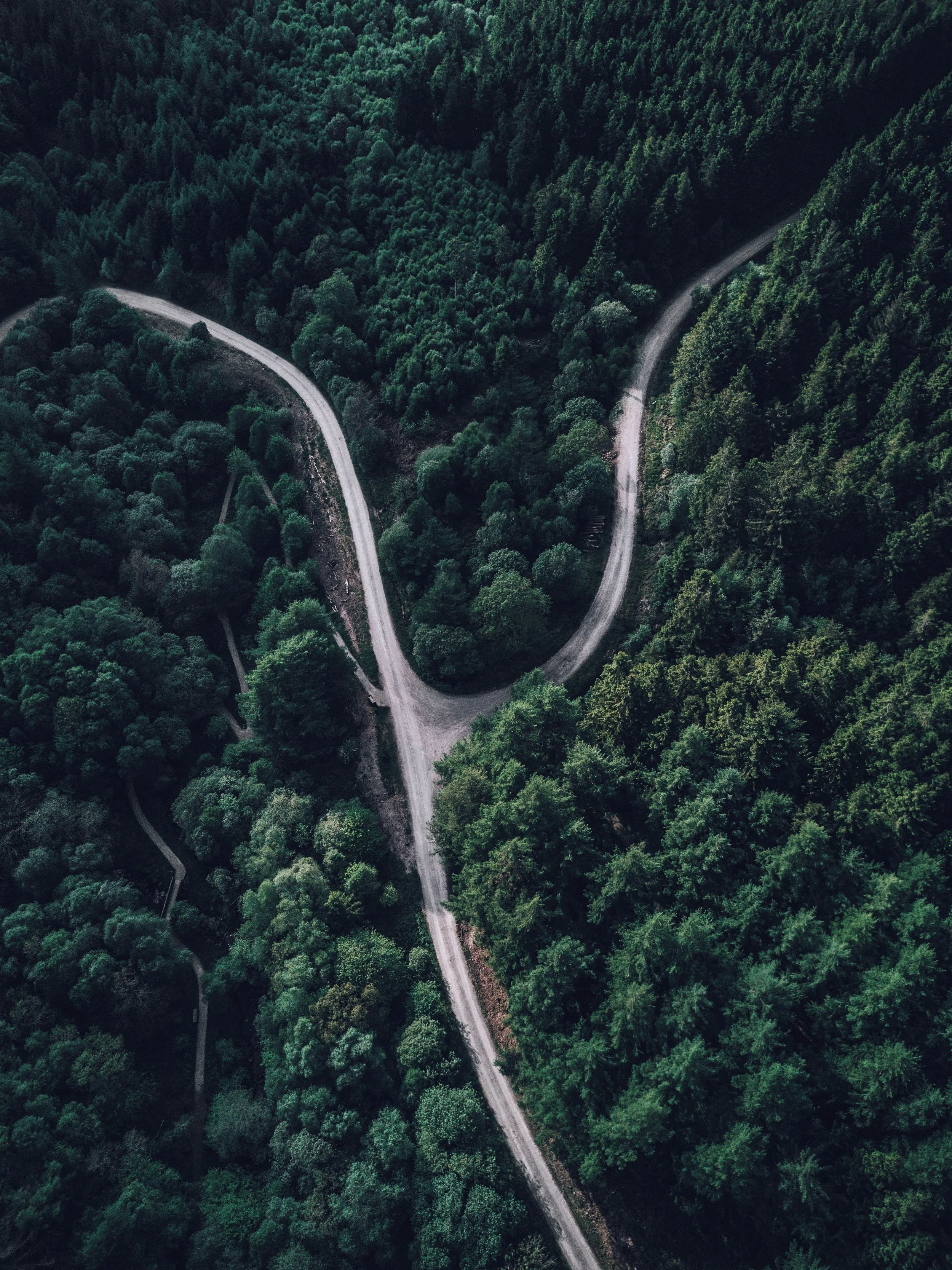 Beyond Politics: Why Recovery Needs Freedom of Choice By Larry Smith