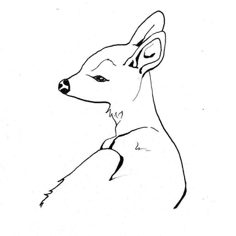 Personal Spots 8.jpg